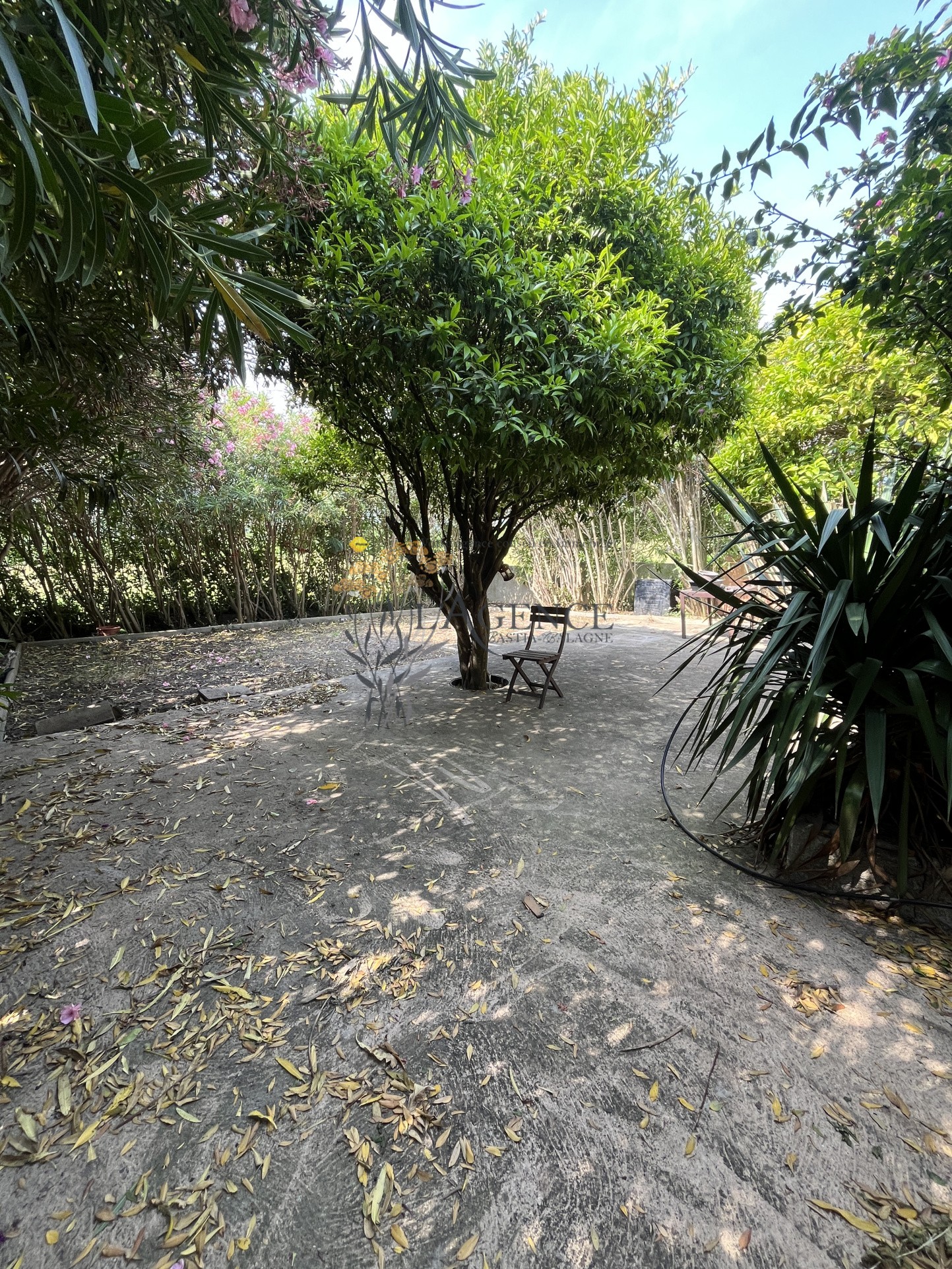 MAISON PROCHE DE LA PLAGE - PIETRACORBARA — photo 16