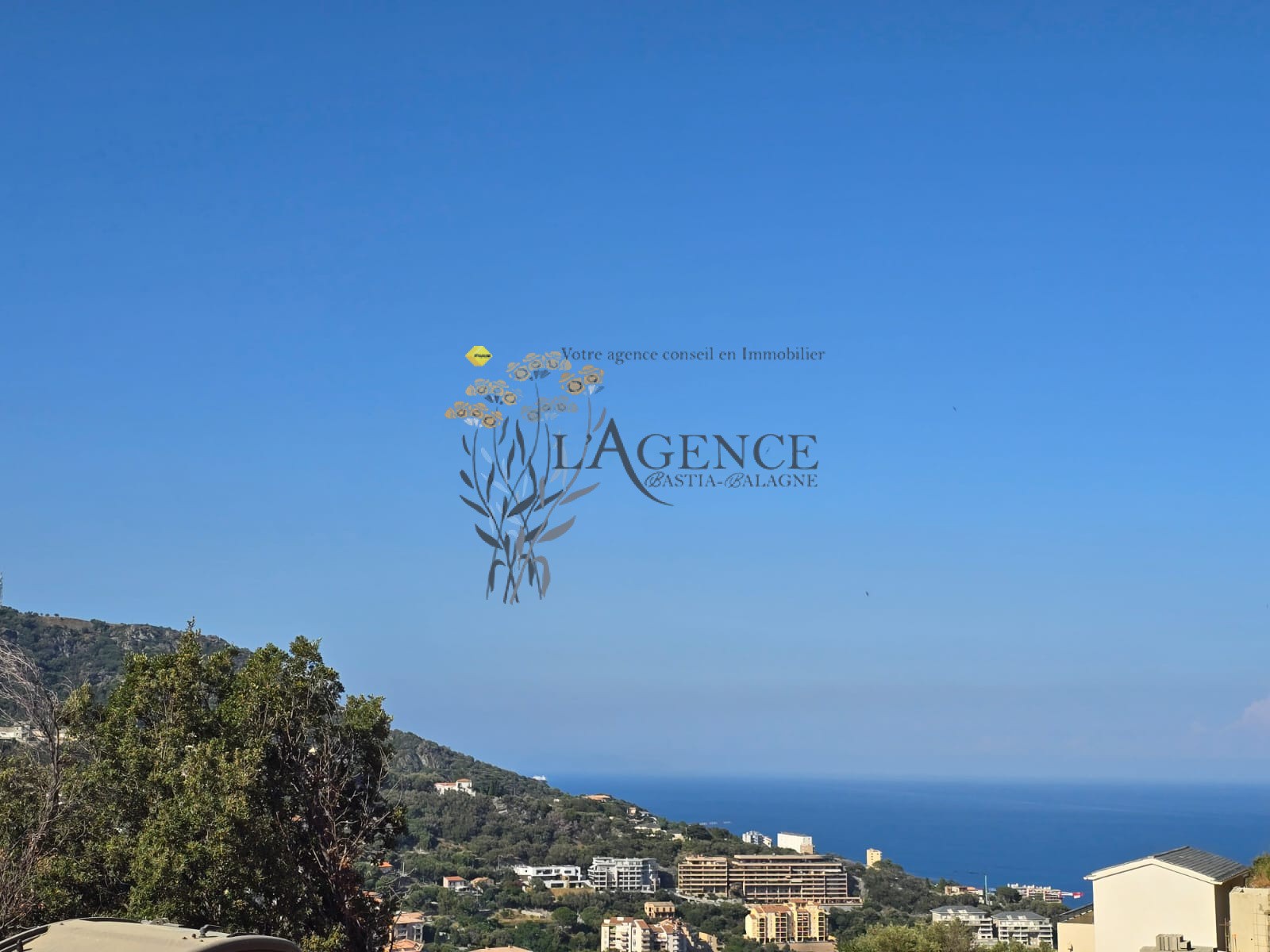 Villa Neuve sur les Hauteurs de Bastia — photo 3