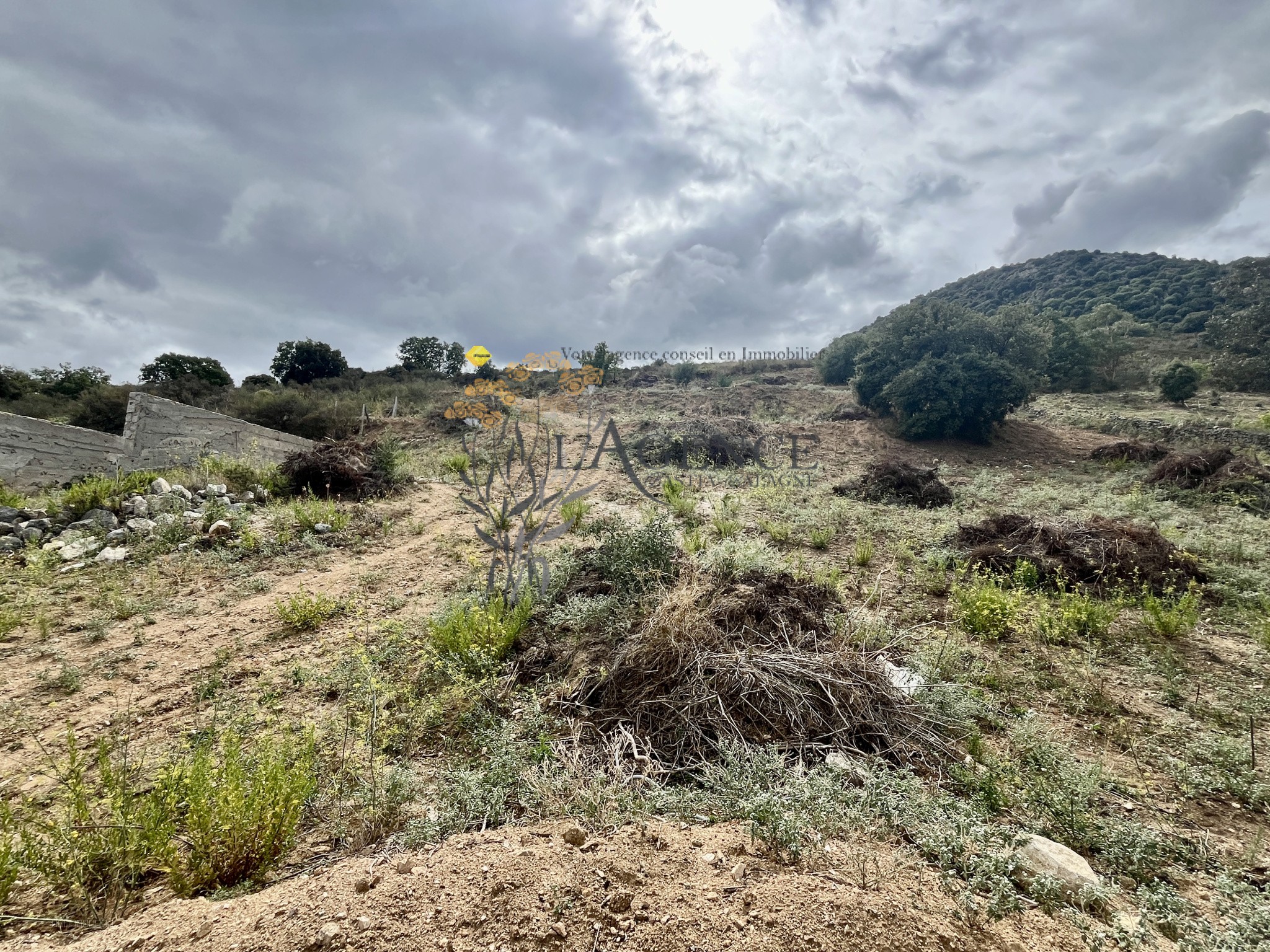 TERRAIN + PERMIS -  MONTICELLO — photo 6