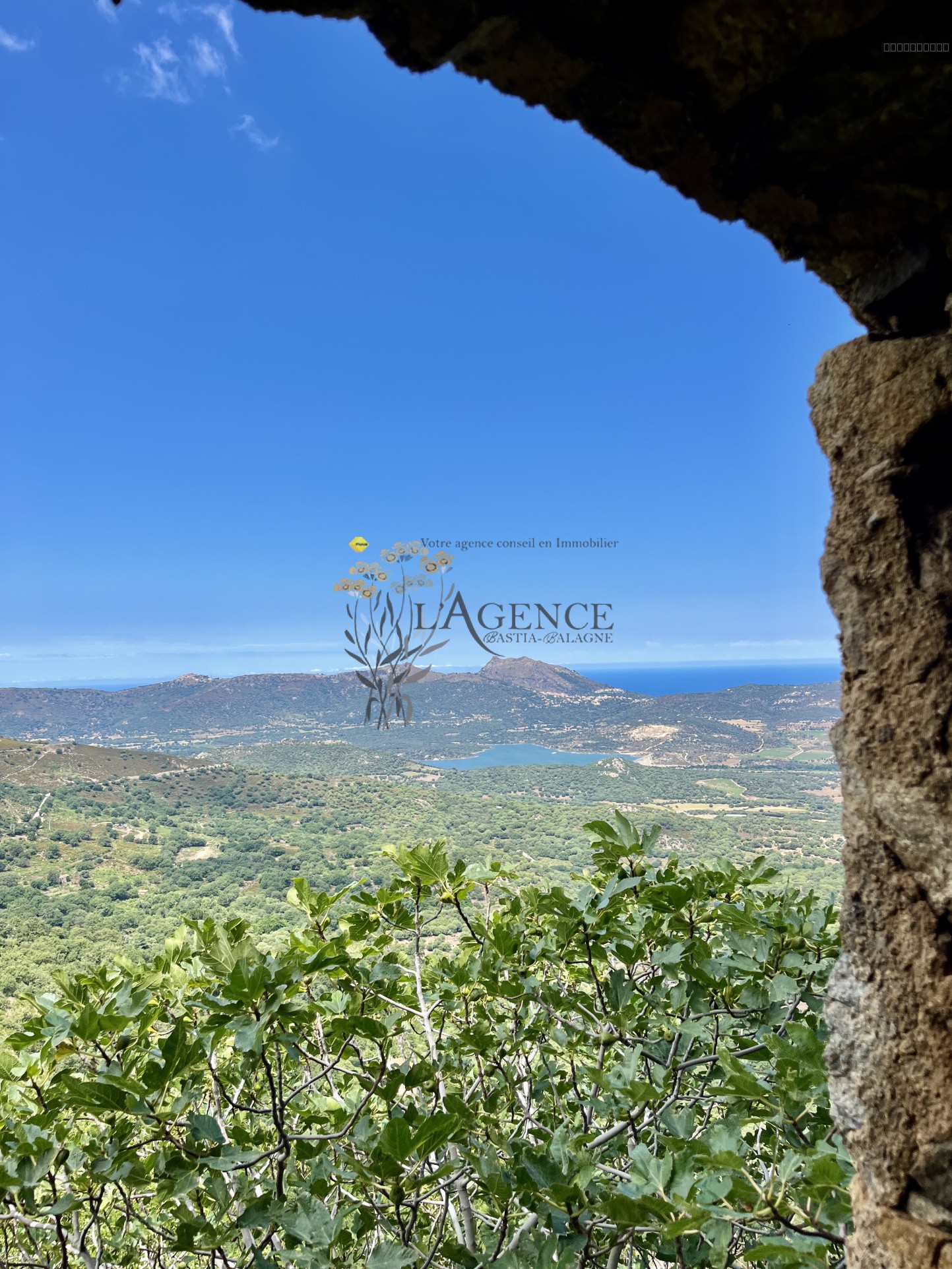 Maison de Village au Charme Historique à Speloncato. — photo 5