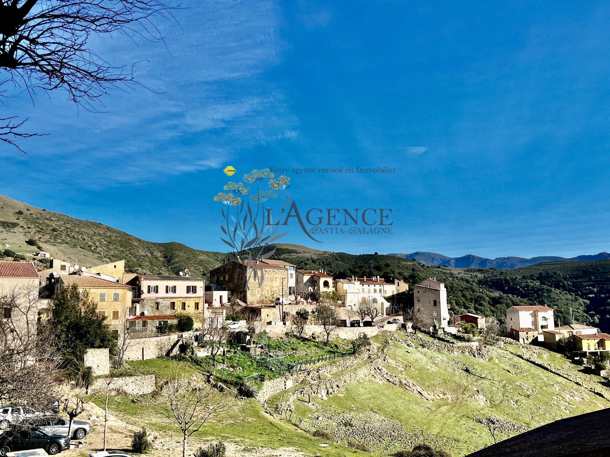 Maison de Village Authentique à Moltifao avec Potentiel Exceptionnel — photo 17