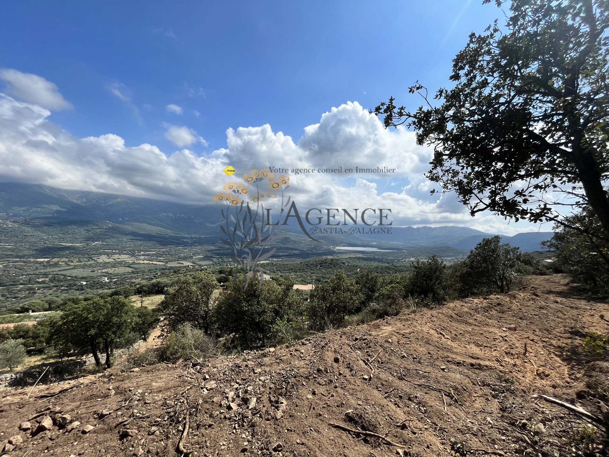 TERRAIN + PERMIS - MONTICELLO — photo 2