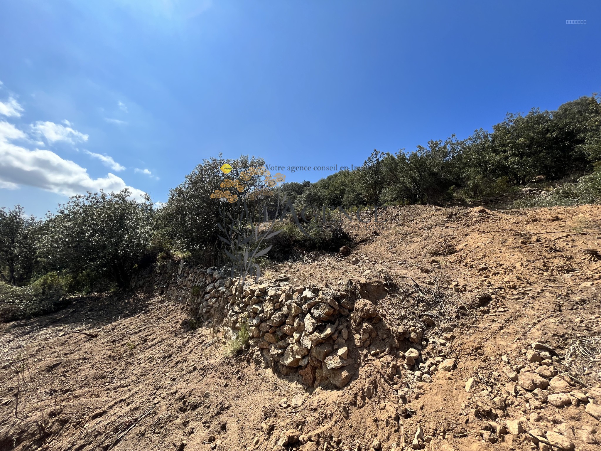 TERRAIN + PERMIS - MONTICELLO — photo 3