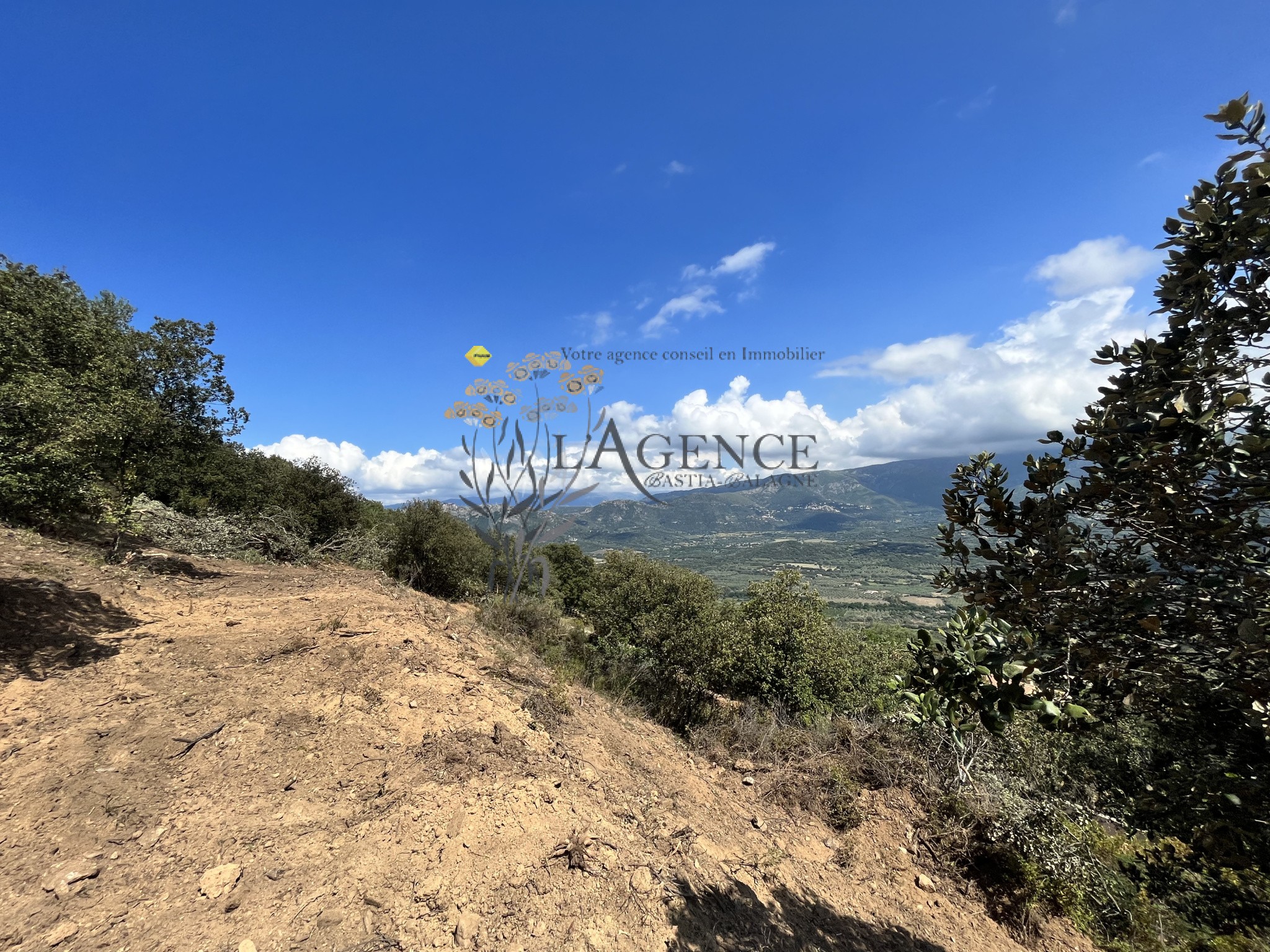 TERRAIN + PERMIS - MONTICELLO — photo 4
