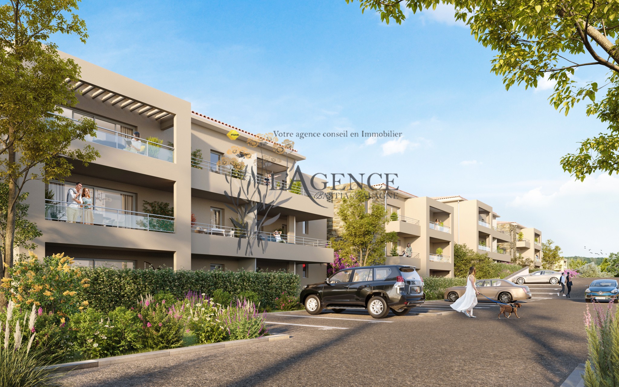 maison Corbara — photo 7