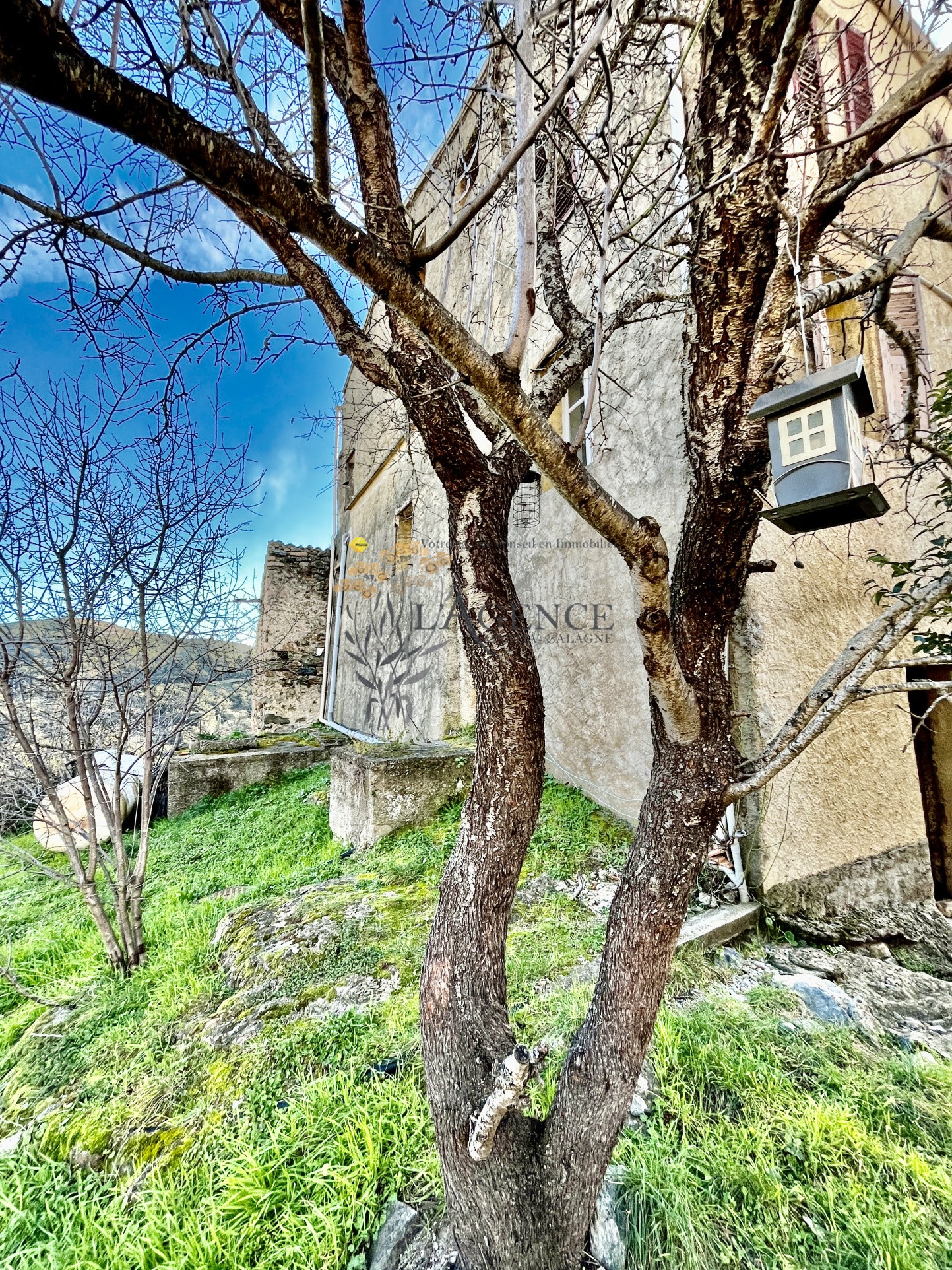 Maison de Village Authentique à Moltifao avec Potentiel Exceptionnel — photo 13