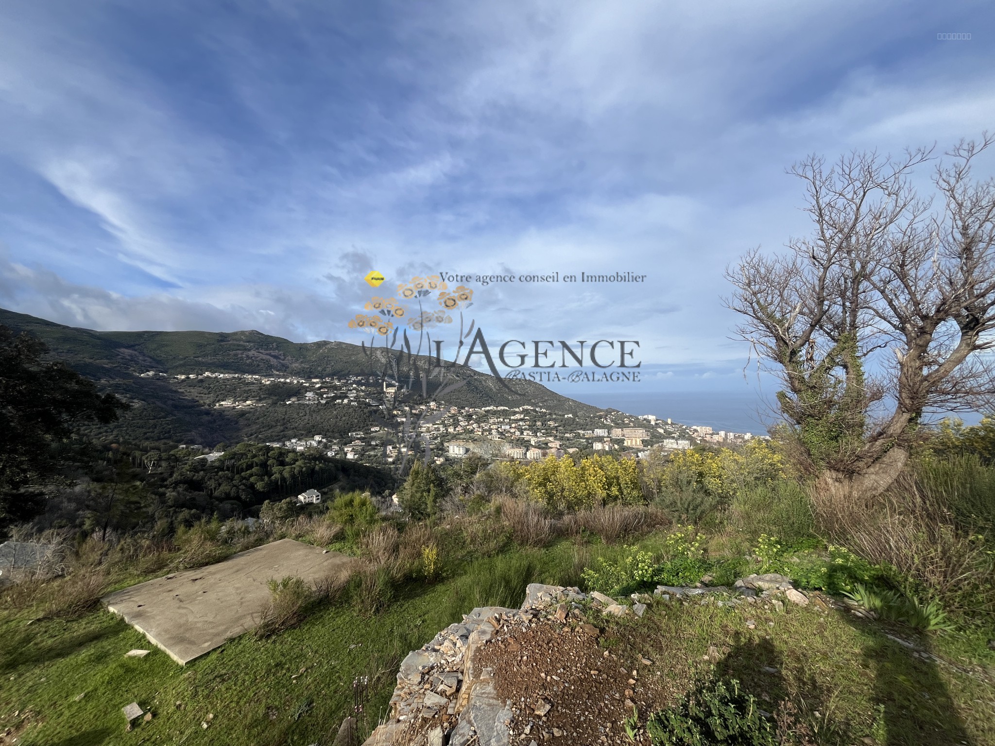TERRAIN A VENDRE CARDO — photo 1