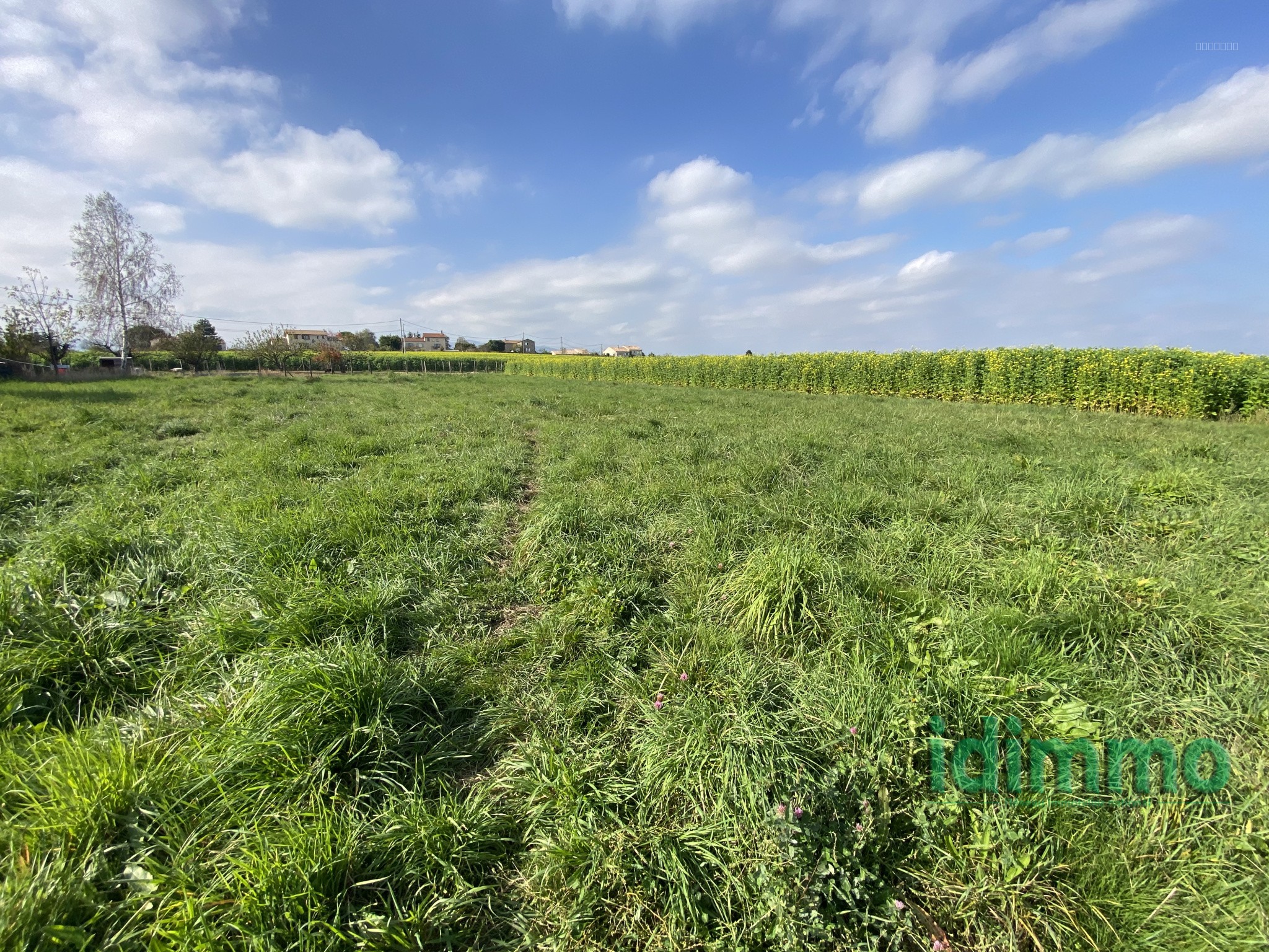 Opportunité rare : terrain plat de 884 m2 constructible viabilisé sur la commune d' Éclassan... — photo 1
