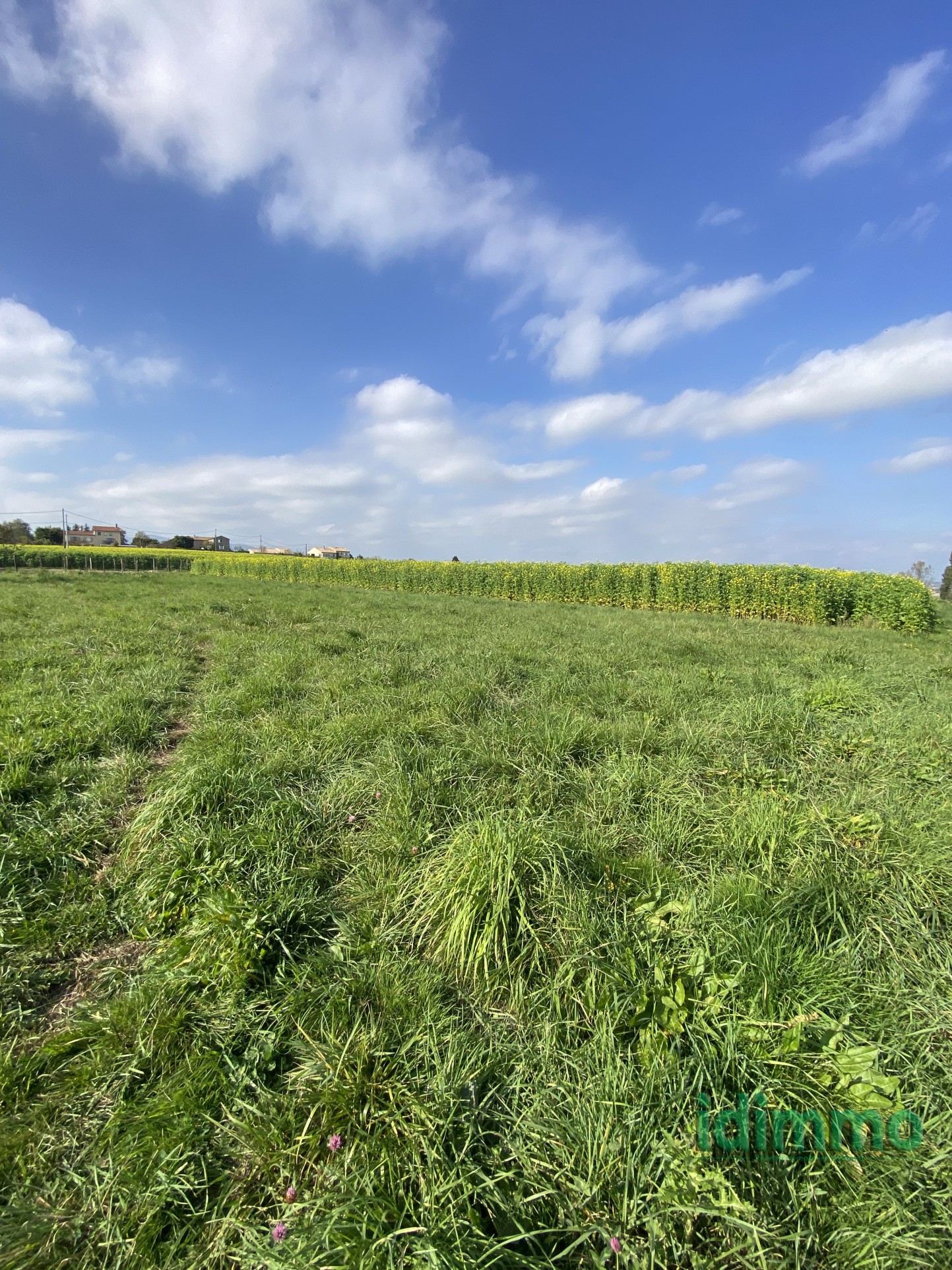 Exclusivité : magnifique terrain plat constructible  viabilisé de  987 m2 à Éclassan — photo 3