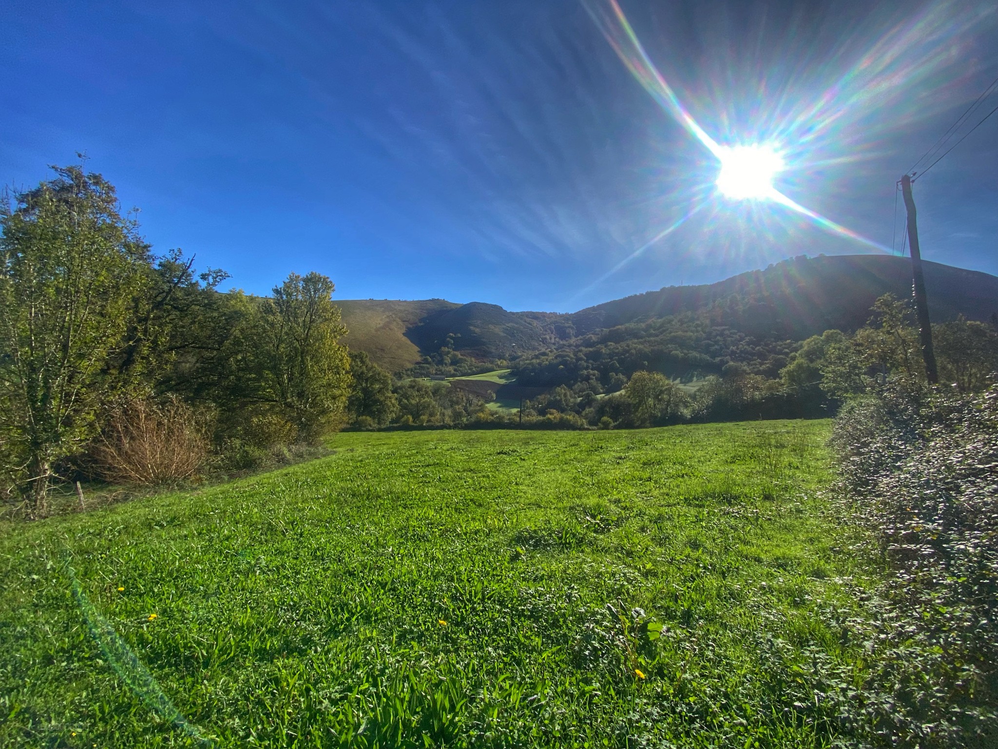 Terrain à bâtir de 1343m2 — photo 4