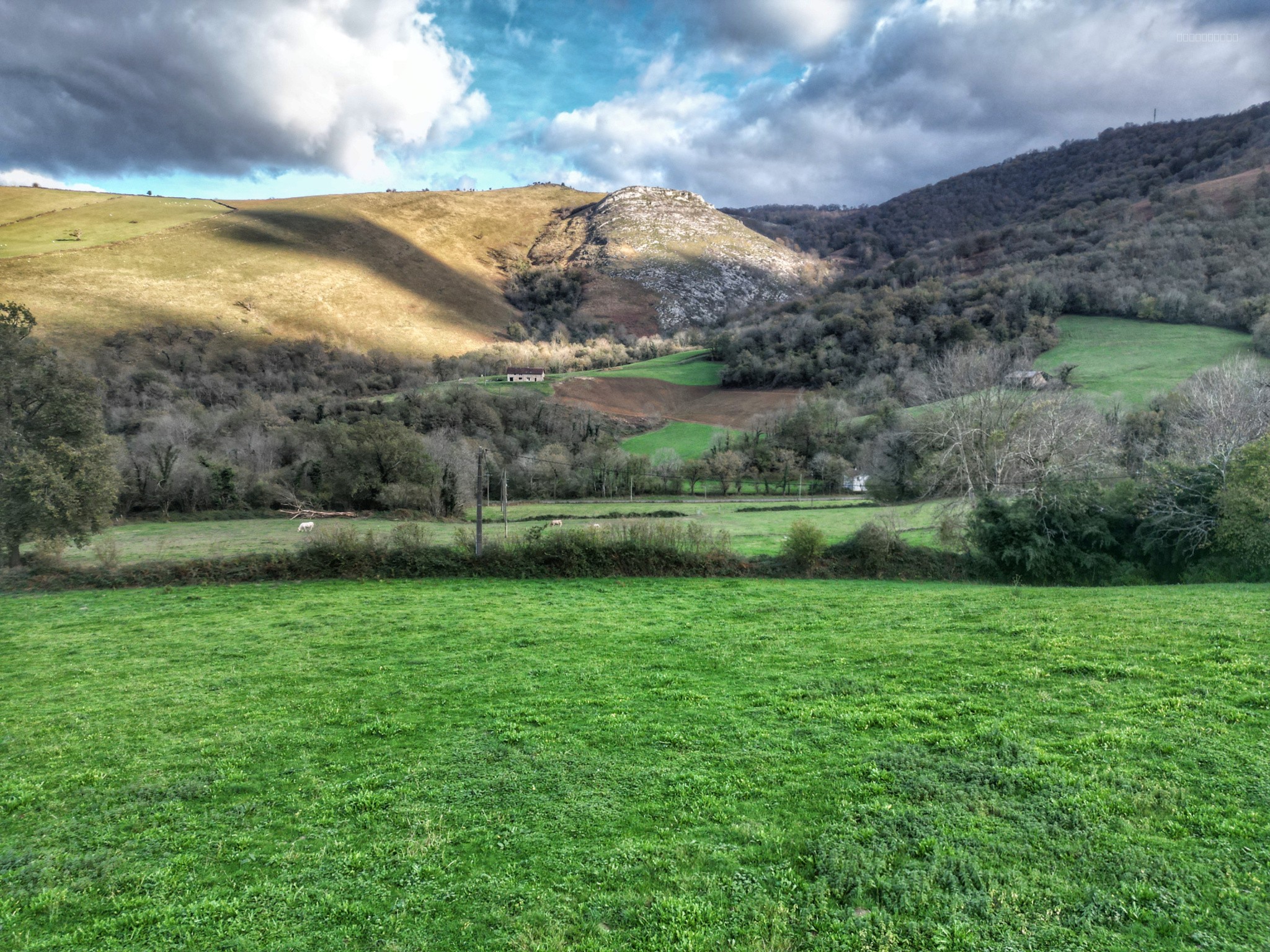 Terrain à bâtir de 1343m2 — photo 7