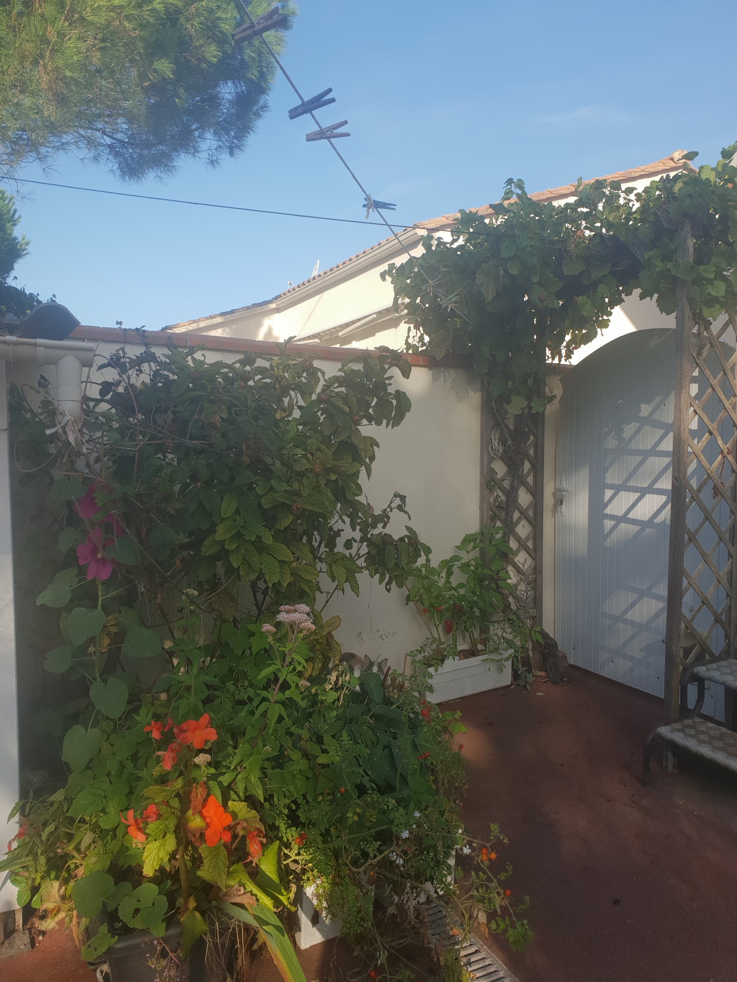 Maison 4 chambres — photo 14