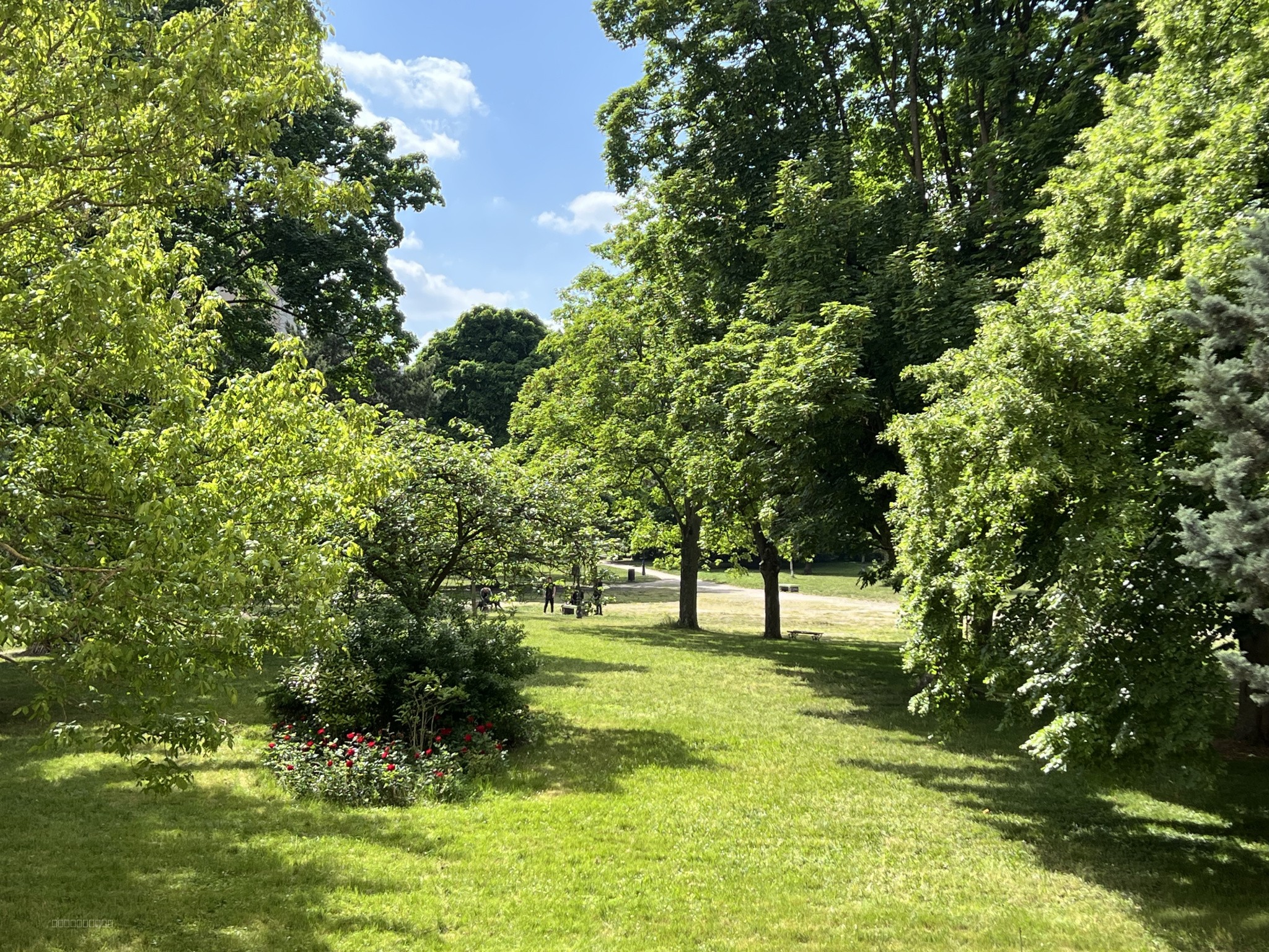 MAISONS- ALFORT  DANS UN CADRE DE VERDURE PRES DES  BORDS DE MARNE — photo 4