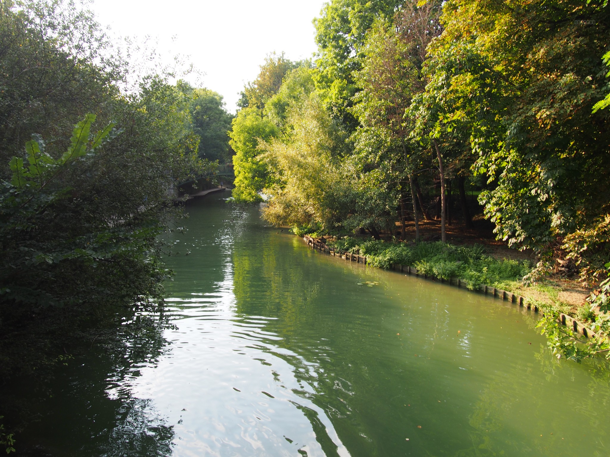 PROCHE METRO ECOLE VETERINAIRE ET BORDS DE MARNE — photo 9