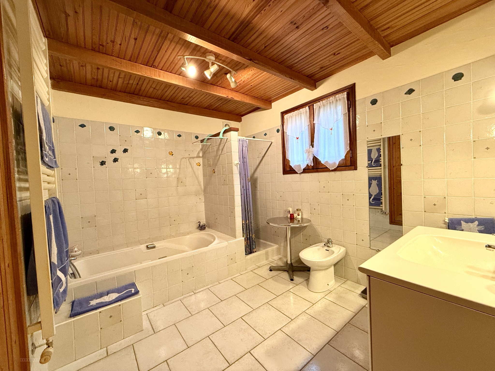 CARDET maison T7 avec terrasse sur 6162 m2 de terrain — photo 4