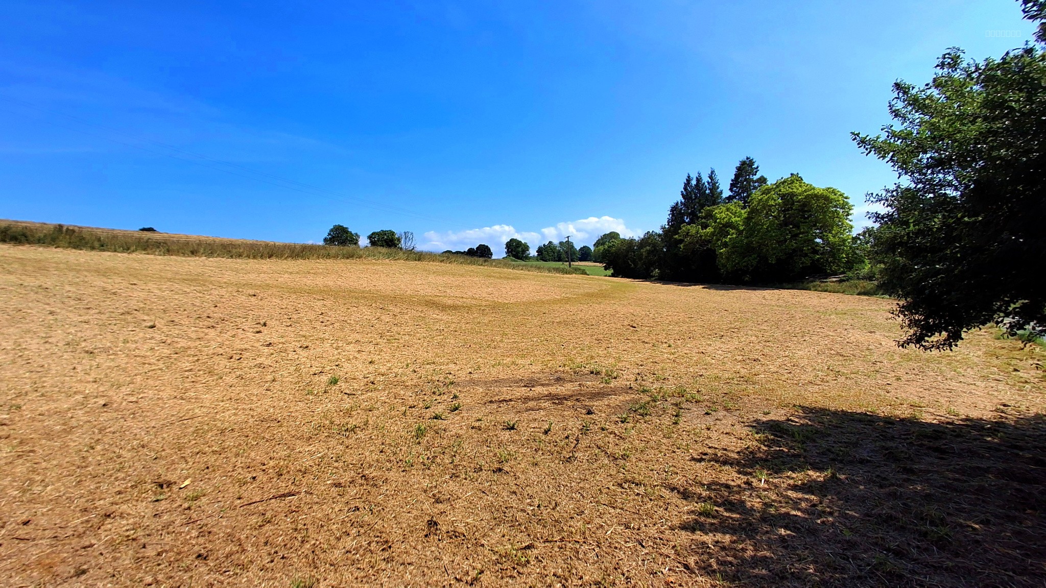 Terrain à vendre   5 118 m2   Torcy-le-Petit (76) — photo 3