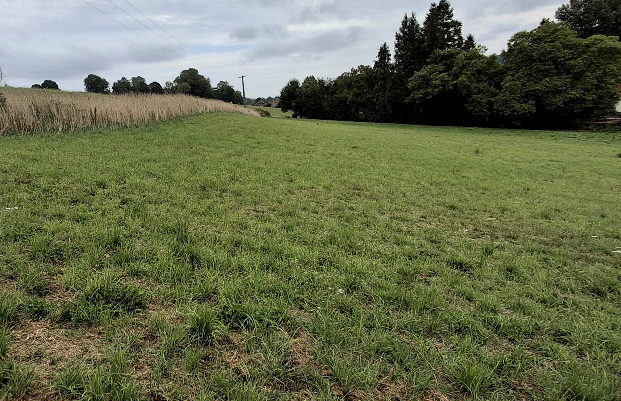 Terrain à vendre   5 118 m2   Torcy-le-Petit (76) — photo 2