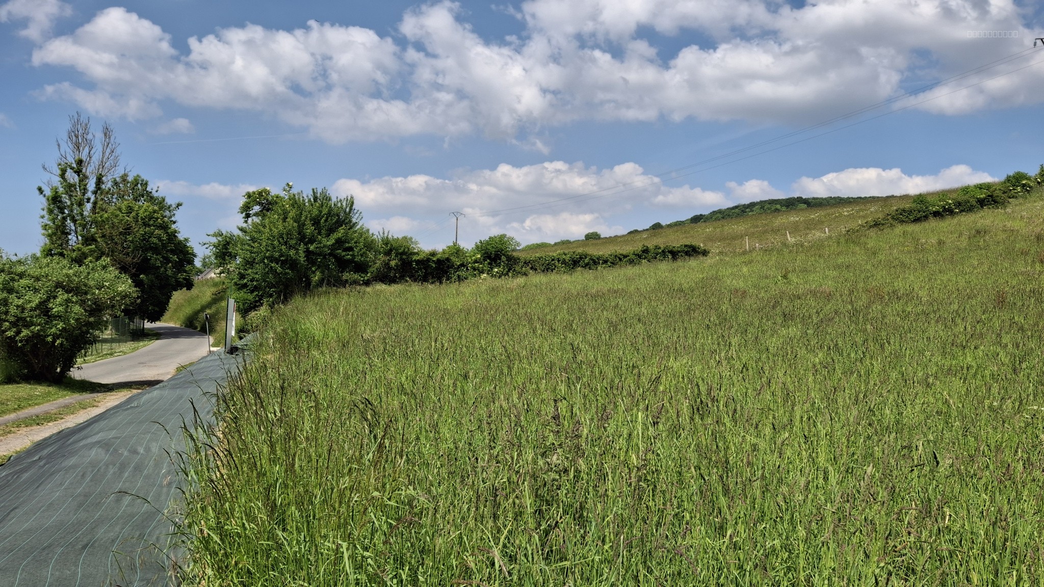 Terrain à vendre   5 118 m2   Torcy-le-Petit (76) — photo 5