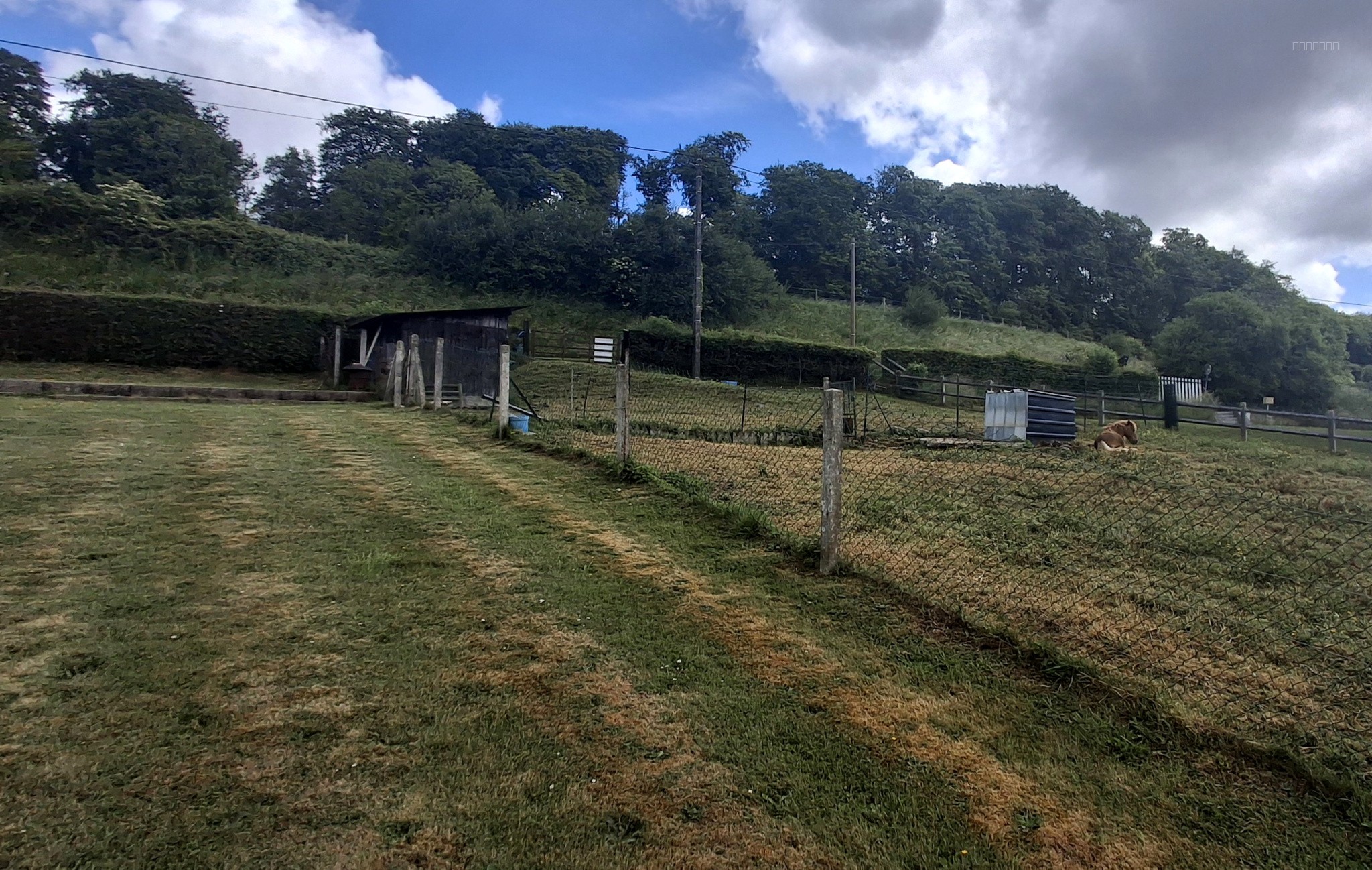 Terrain à bâtir proximité Saint-Saëns — photo 3