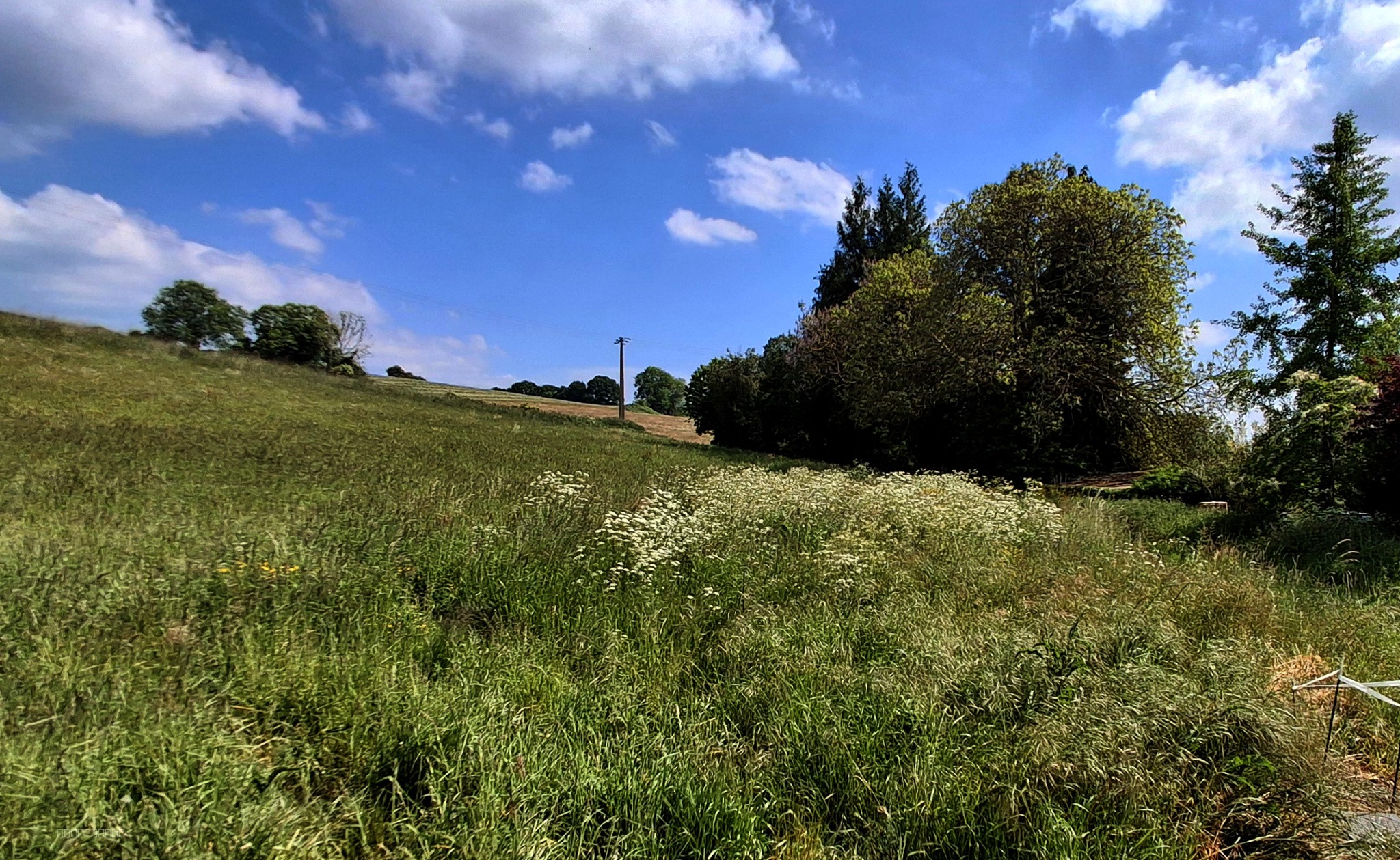 Terrain à vendre   5 118 m2   Torcy-le-Petit (76) — photo 4
