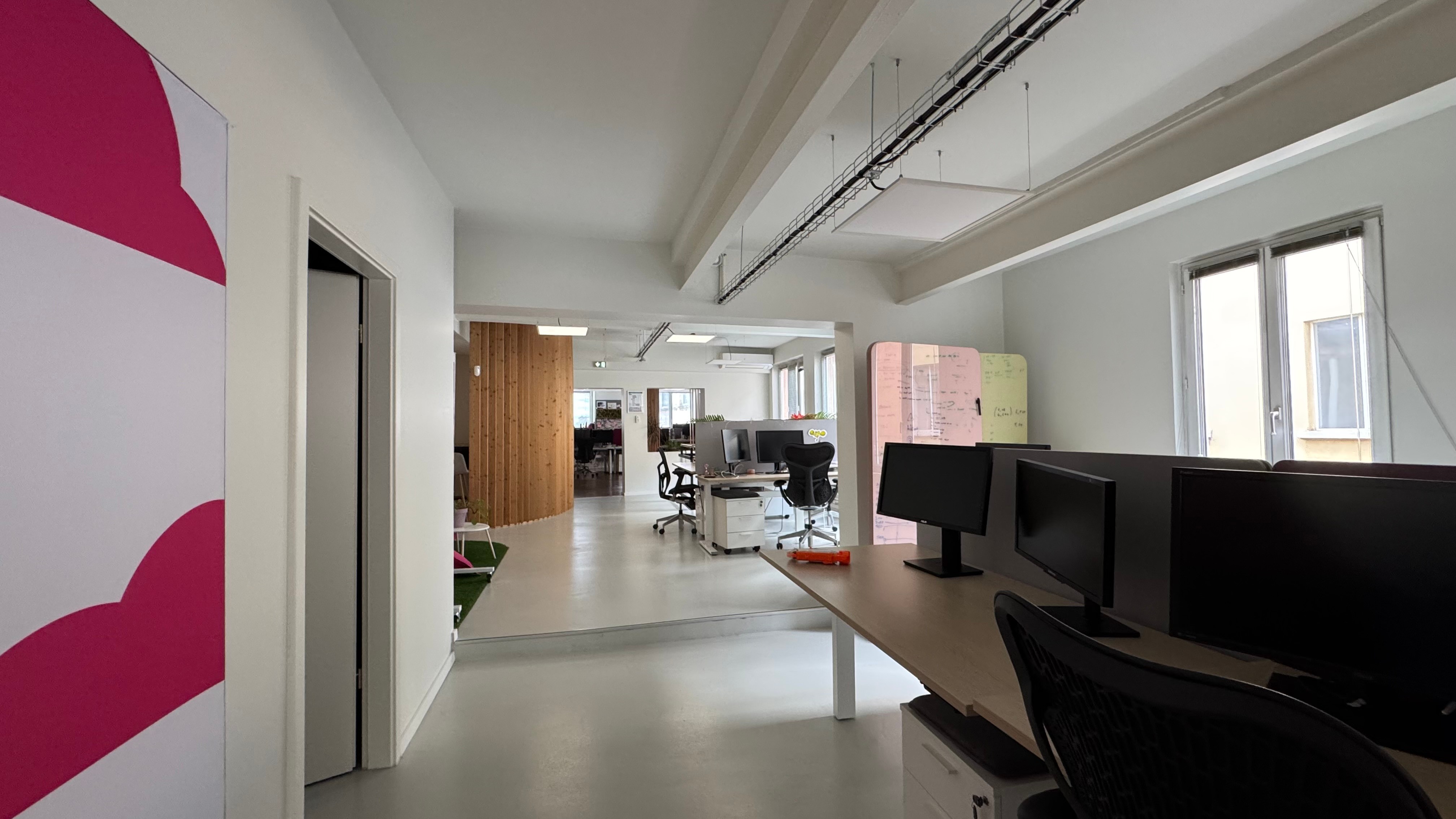 BISCHHEIM LOCAUX PROFESSIONNELS — photo 10