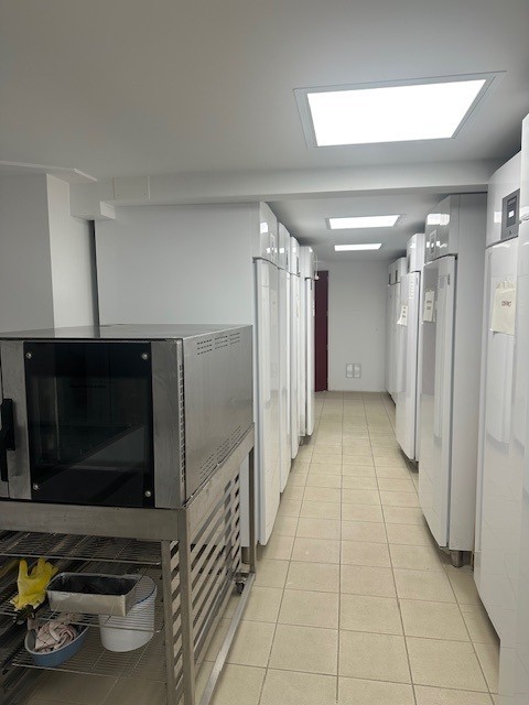 OFFENDORF, locaux d'activité ou professionnels — photo 9