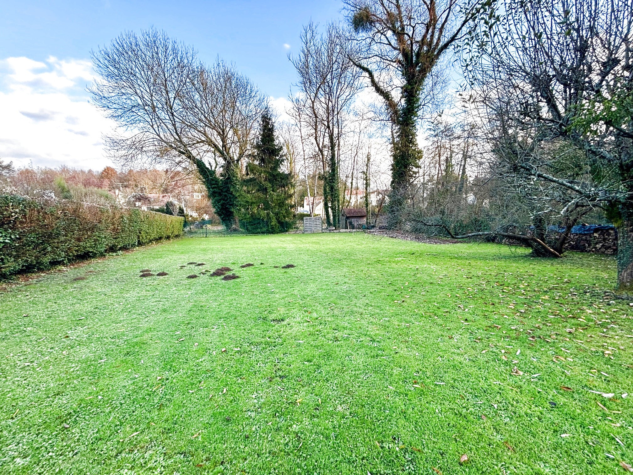 PROPRIETE FAMILIALE DE PLAIN PIED AVEC PISCINE EDIFIE SUR 3000M2 — photo 4