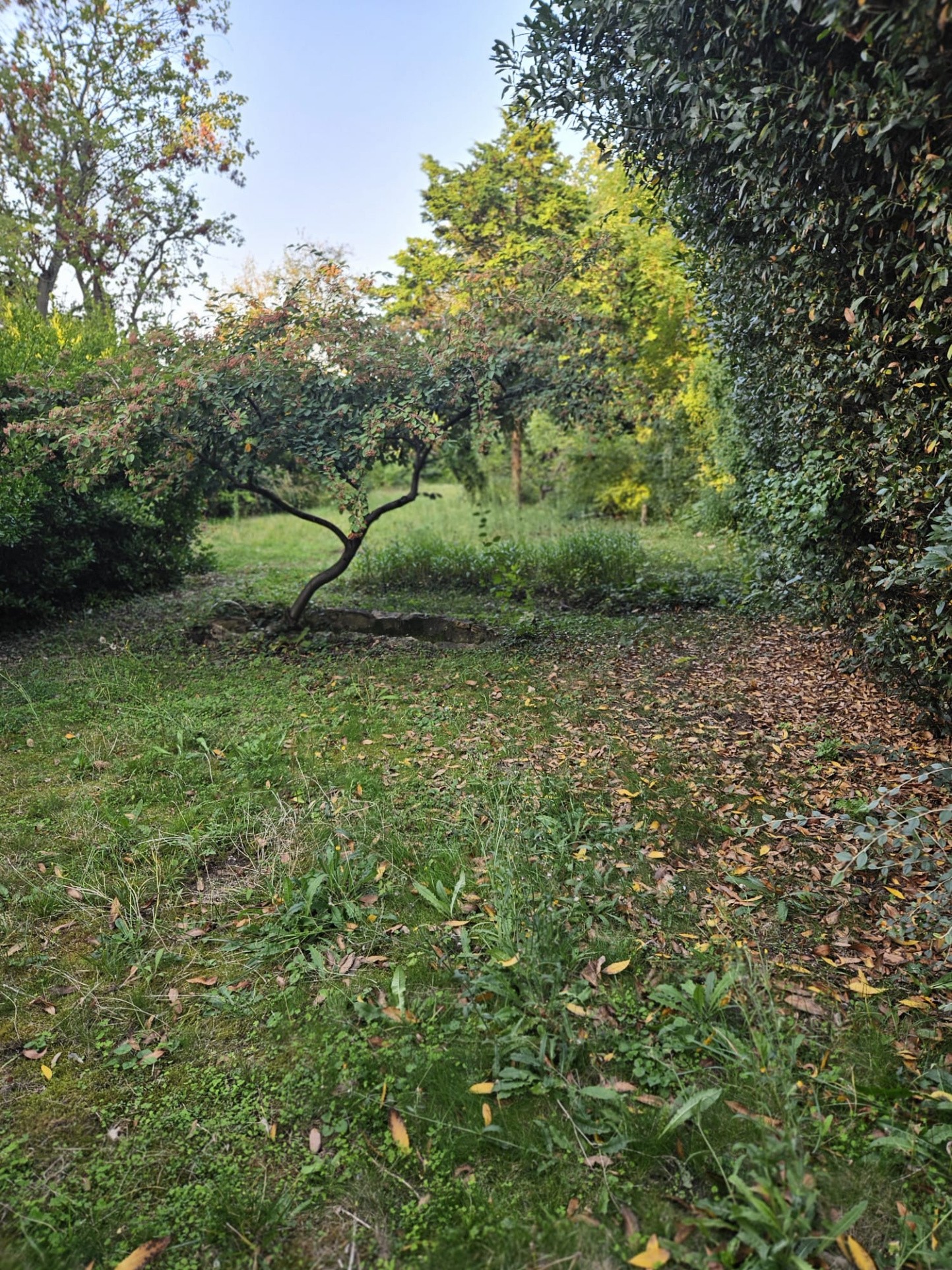 À Vendre à Enghien-les-Bains : Maison de Charme avec Grand Jardin — photo 4