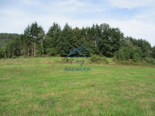 Parcelle constructible 1151m2 - Bruyères — photo 3