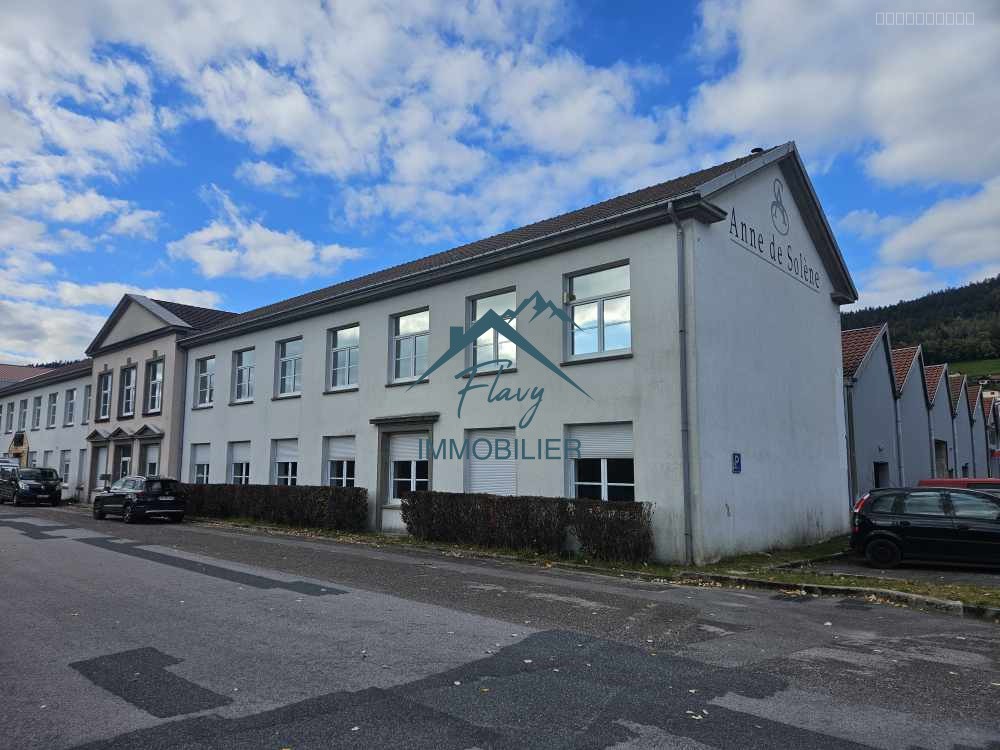 Bureaux et espaces professionnels 220m2 - Julienrupt — photo 7