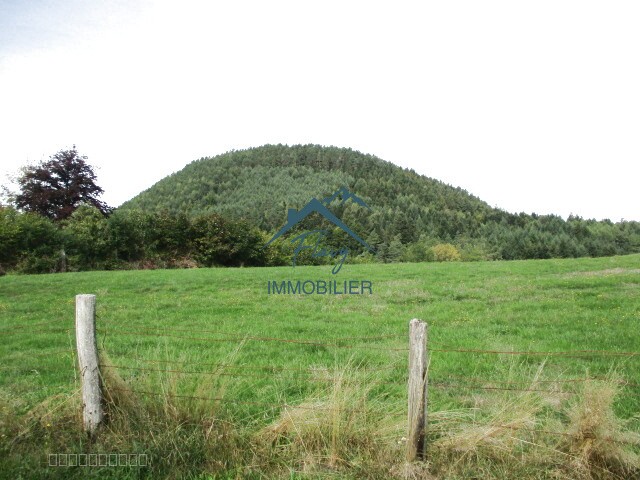 Parcelle constructible 1151m2 - Bruyères — photo 2