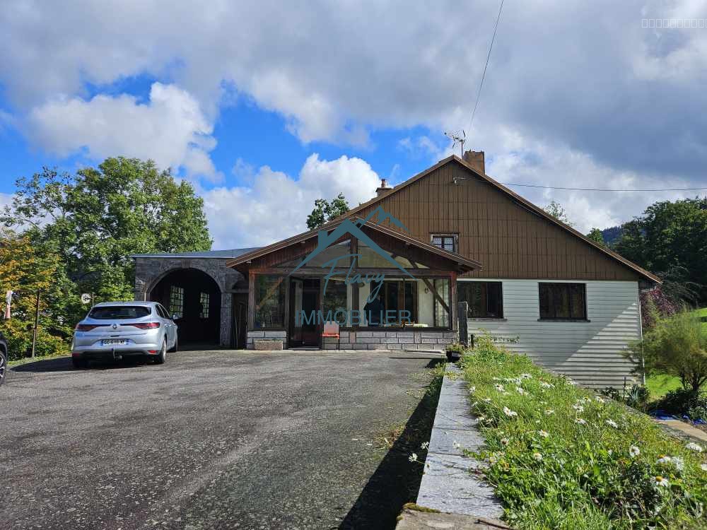 Maison + Appartement sur 1, 6 hectare entièrement constructible! Vagney — photo 3