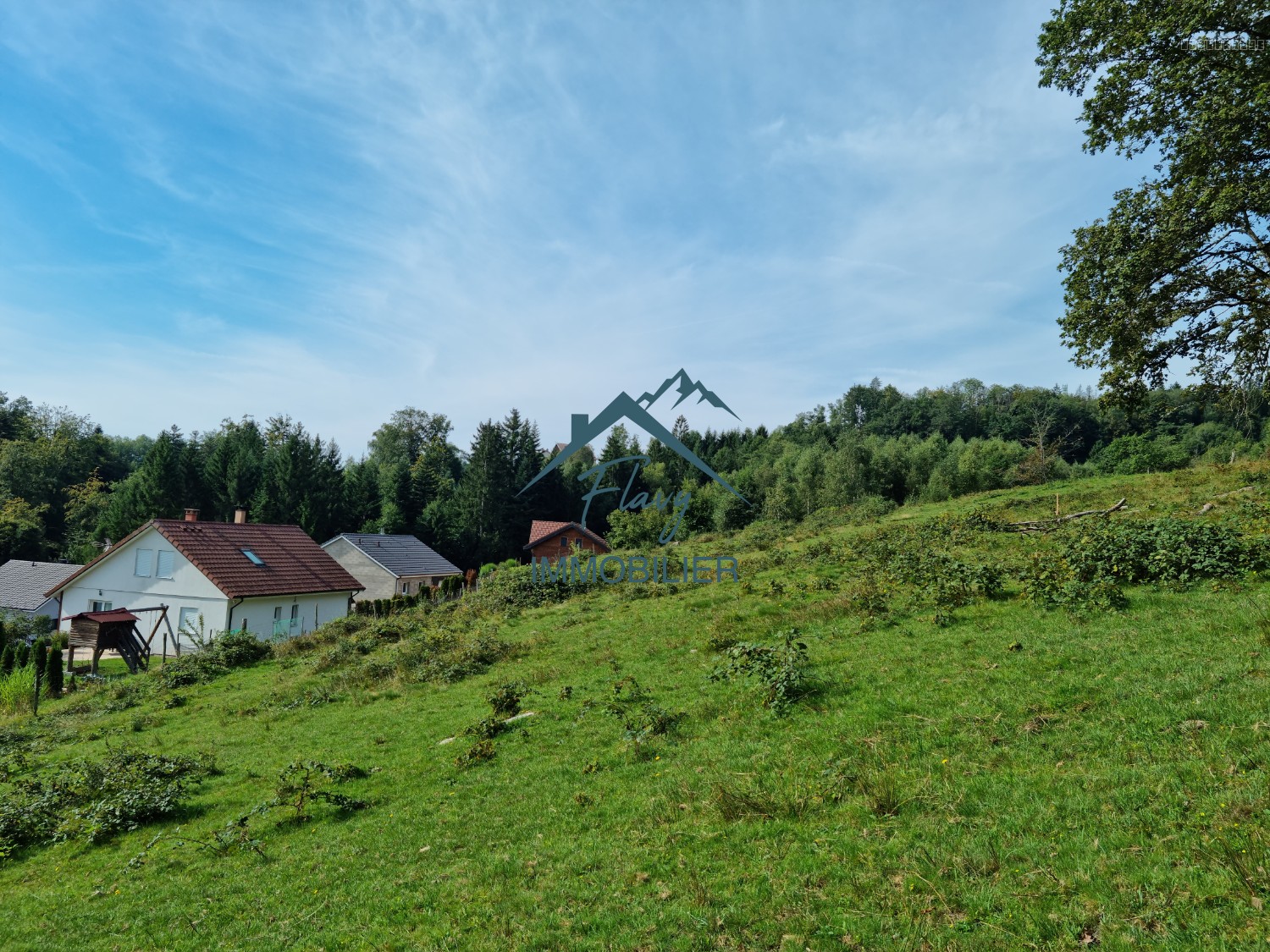 Terrain de 8385 m2 dont 3542m2 constructible - 15min de Gérardmer — photo 3