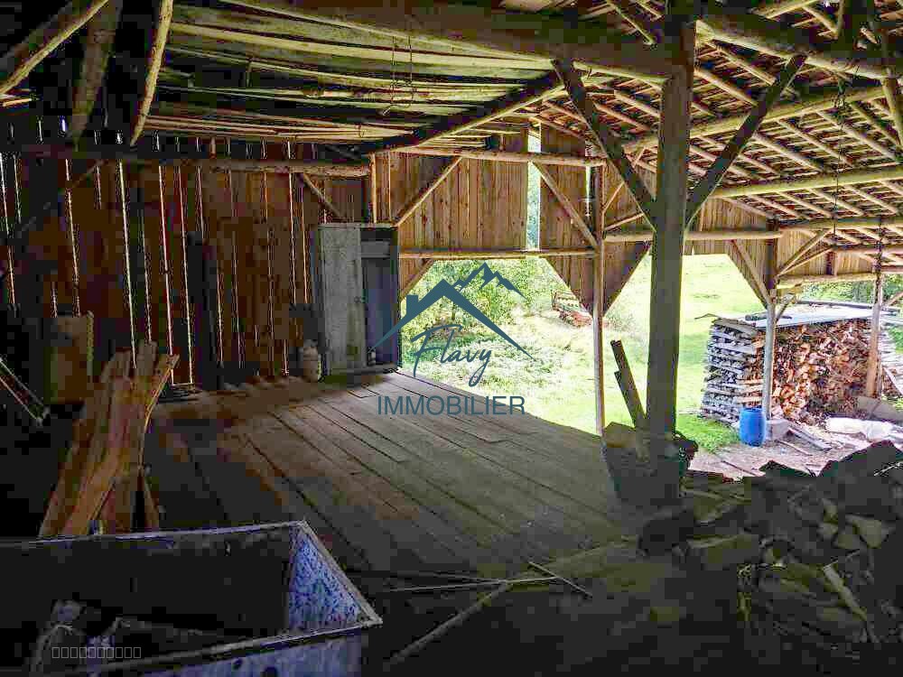 Maison + Appartement sur 1, 6 hectare entièrement constructible! Vagney — photo 16