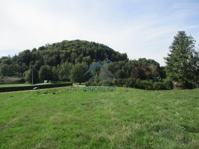 Parcelle constructible 1151m2 - Bruyères — photo 11