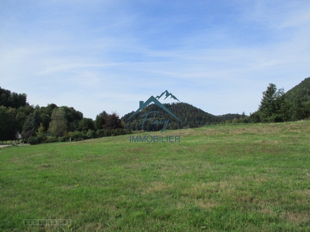 Parcelle constructible 1151m2 - Bruyères — photo 10