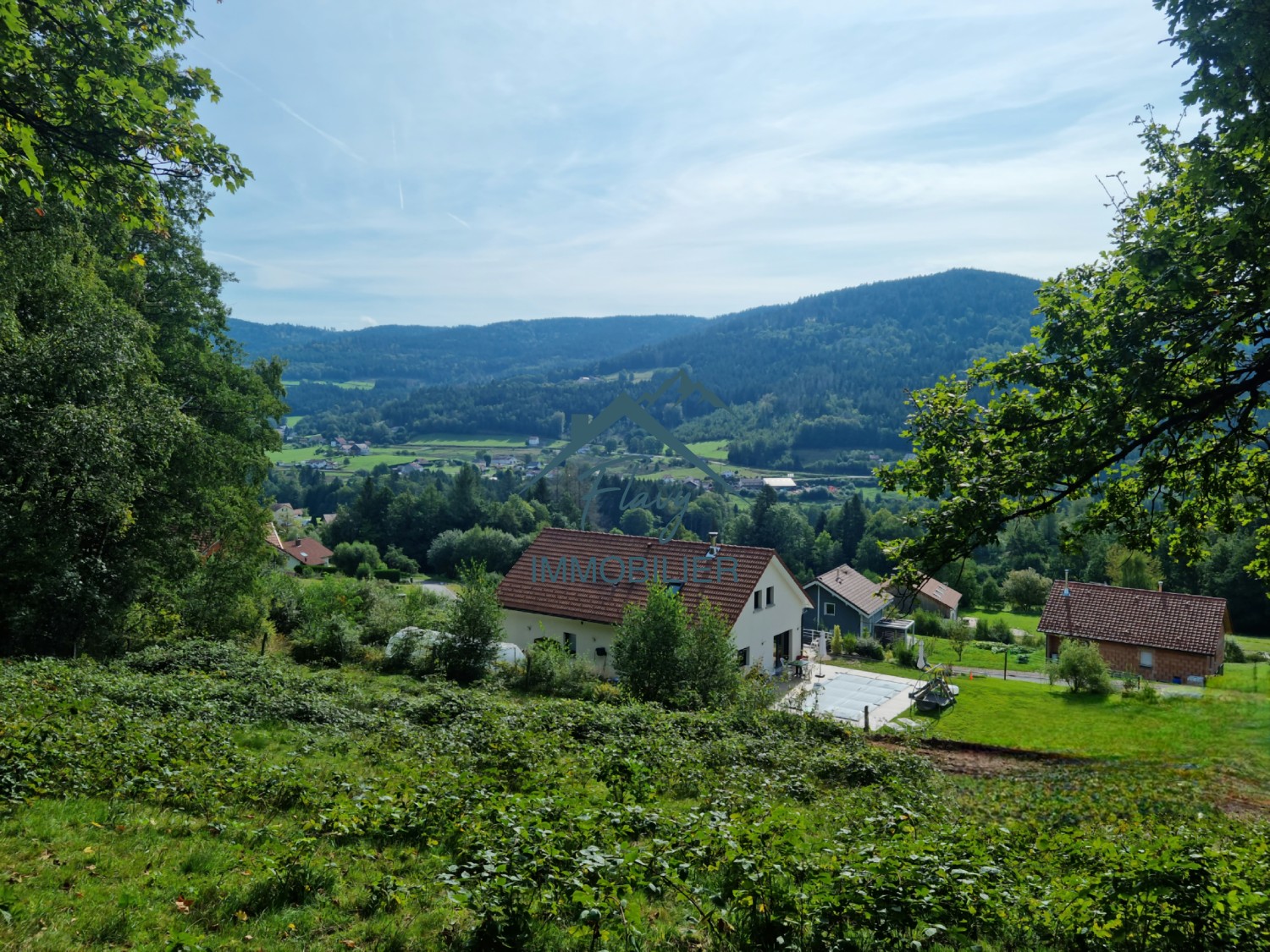 Terrain de 8385 m2 dont 3542m2 constructible - 15min de Gérardmer — photo 2