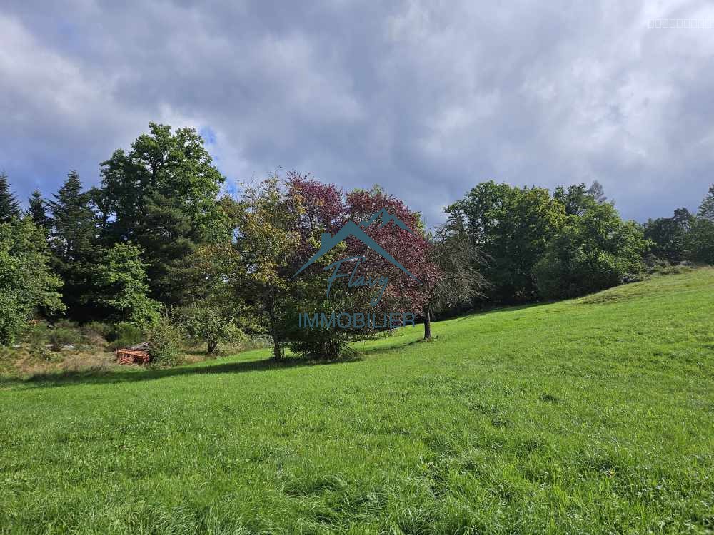 Maison + Appartement sur 1, 6 hectare entièrement constructible! Vagney — photo 17