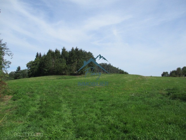 Parcelle constructible 1151m2 - Bruyères — photo 12