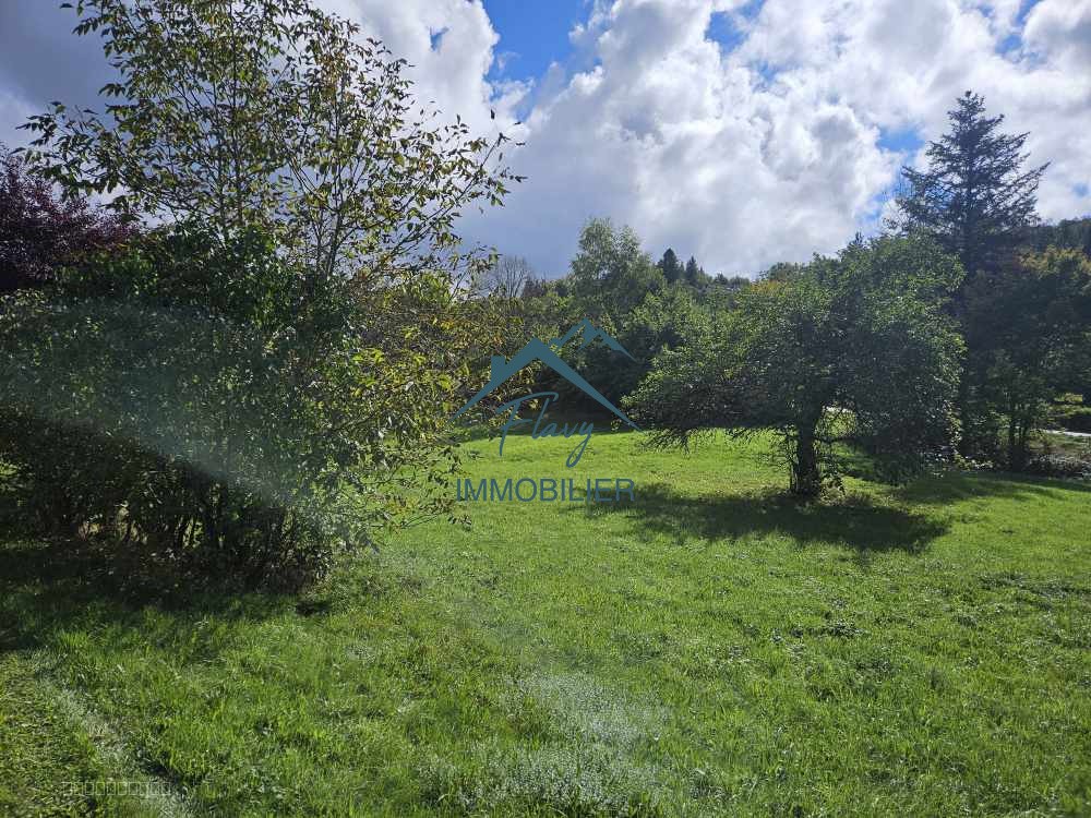 Maison + Appartement sur 1, 6 hectare entièrement constructible! Vagney — photo 4