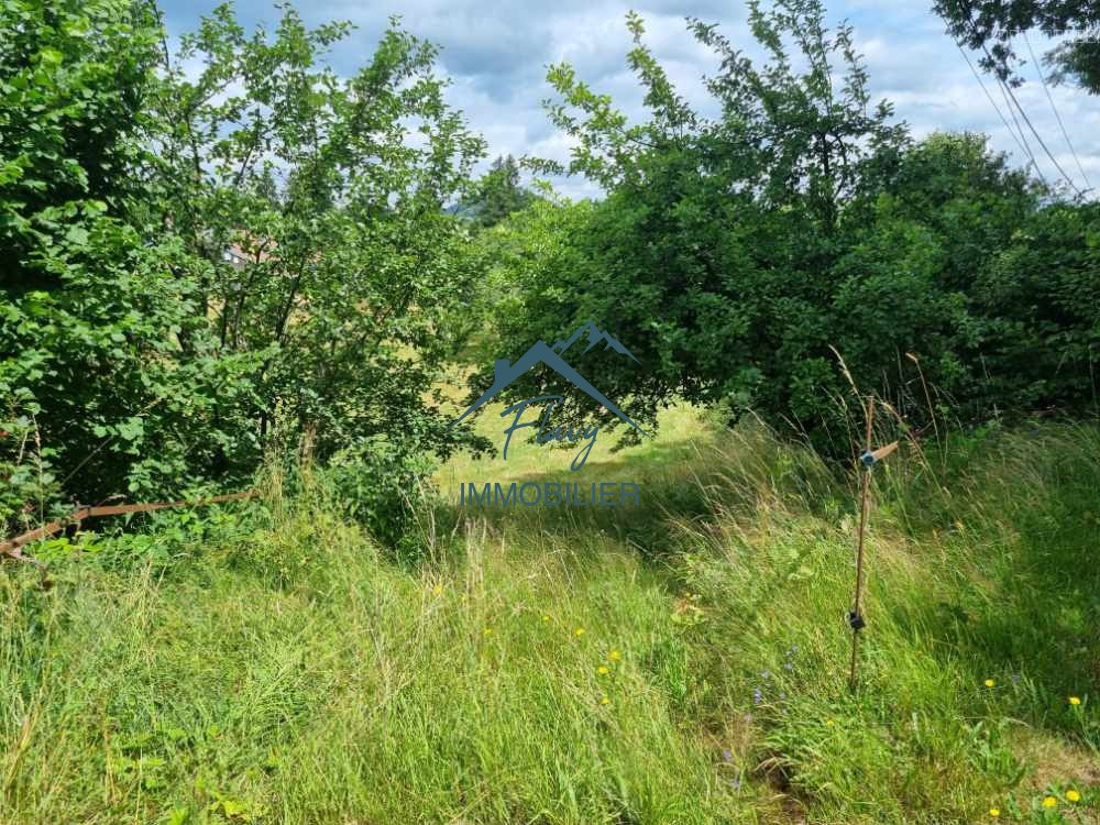 Terrain constructible de 2835m2 - Fimenil — photo 3