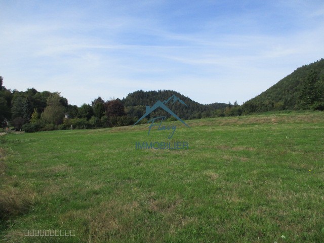 Parcelle constructible 1151m2 - Bruyères — photo 8