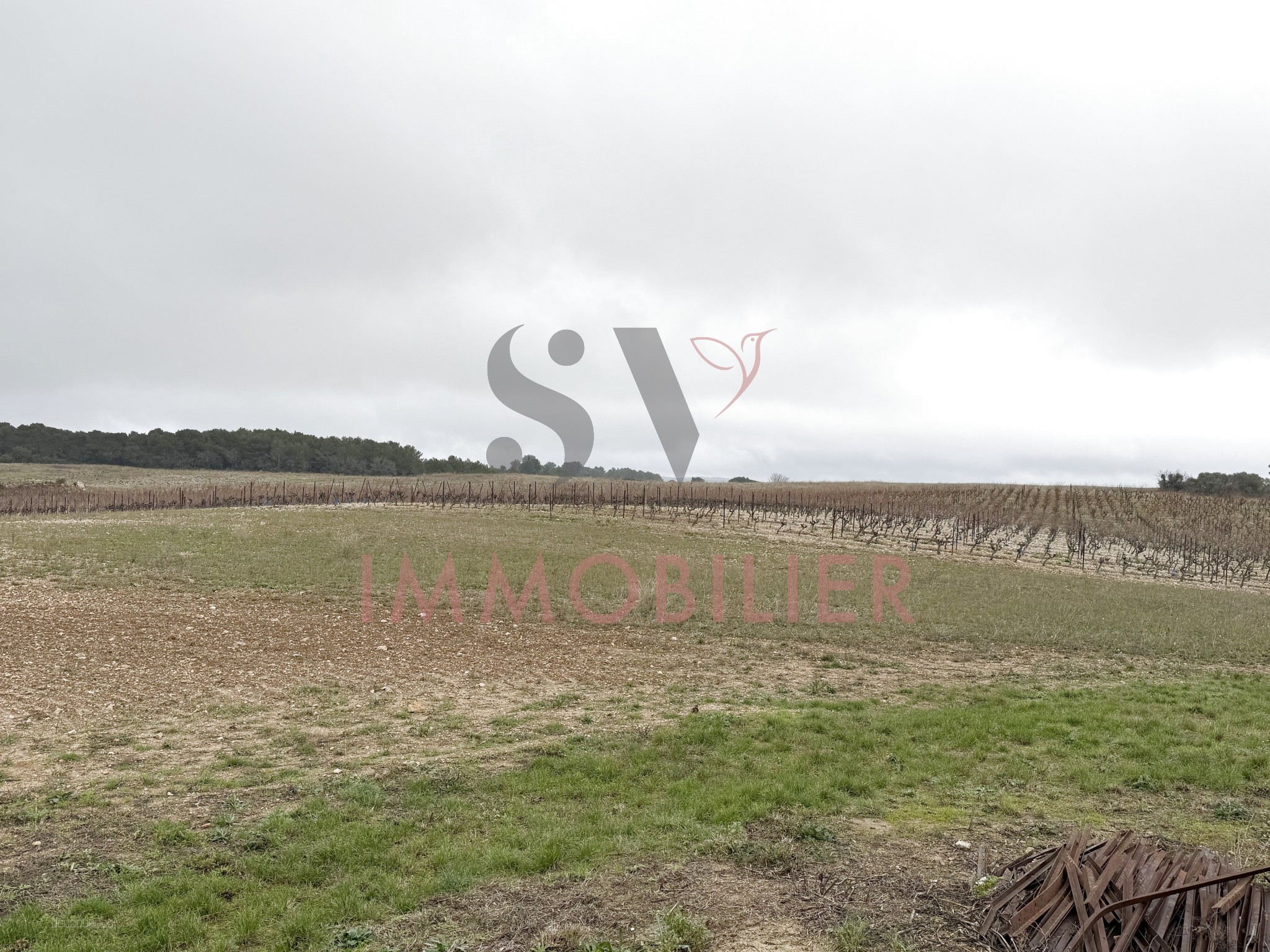HANGAR 250M2 - Fort potentiel de transformation   Cadre campagne — photo 6