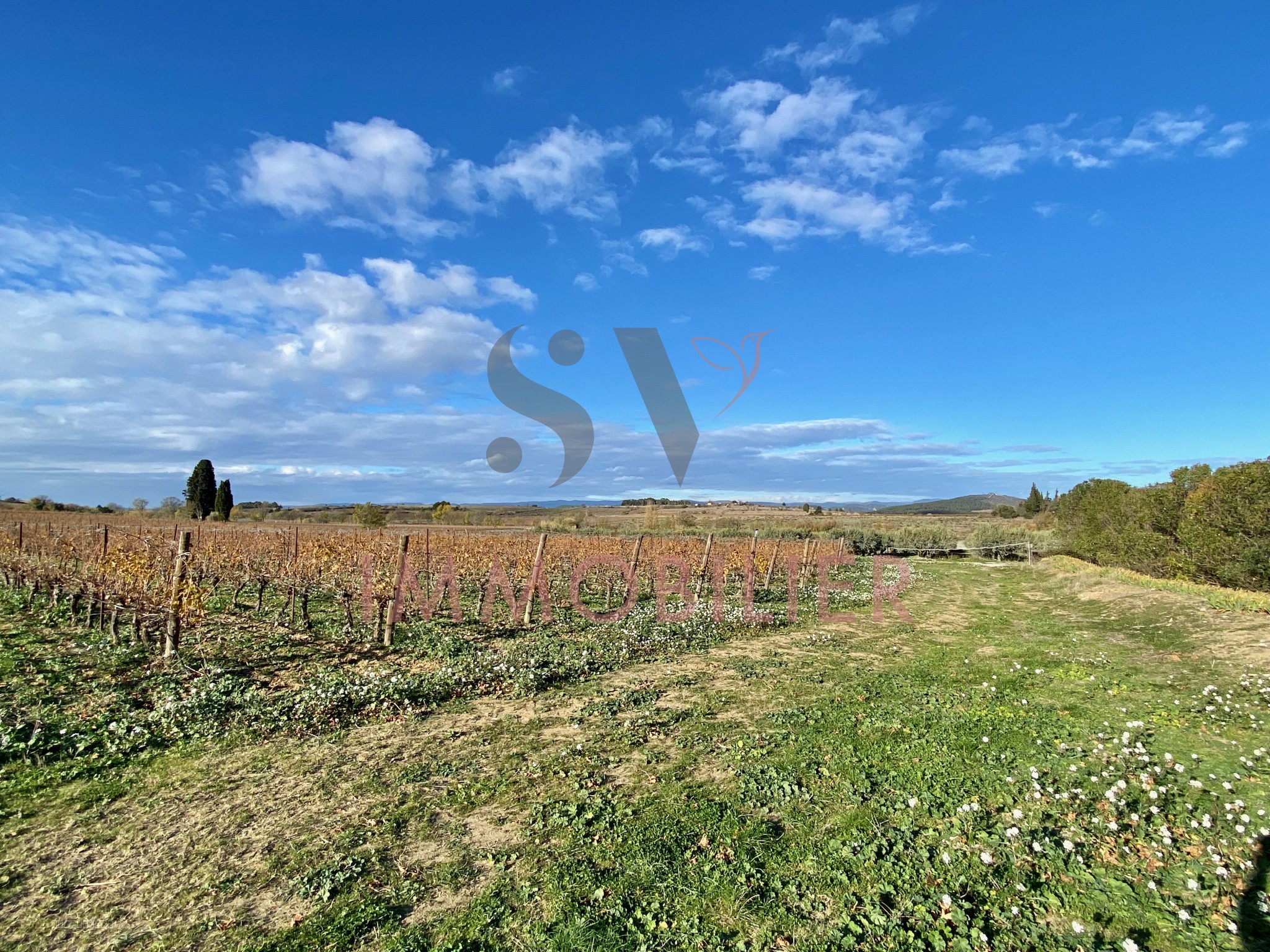 Propriété avec villa de plain-pied    Ensemble foncier rare — photo 18