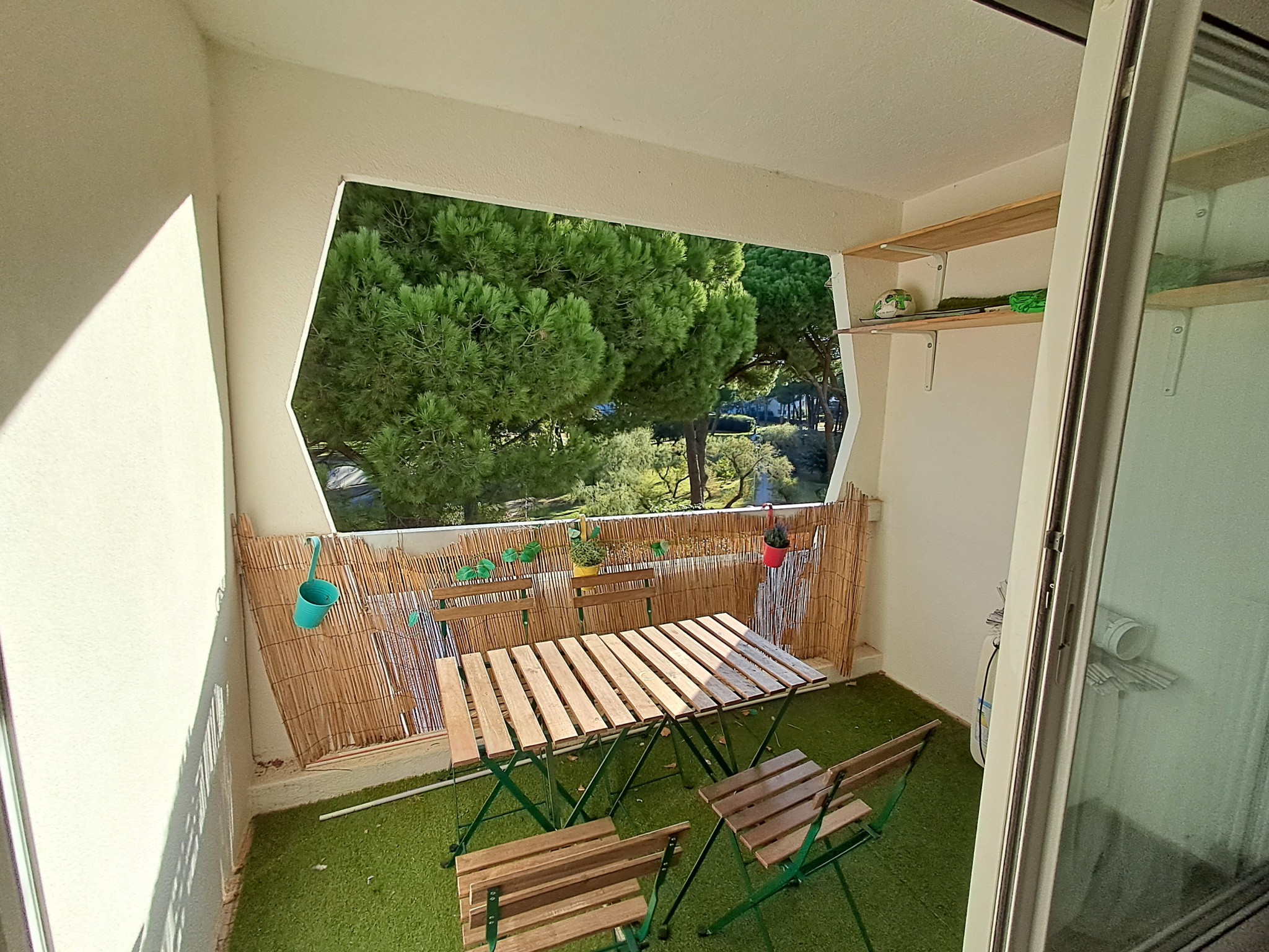 Studio en première ligne vue sur parc arboré. — photo 4