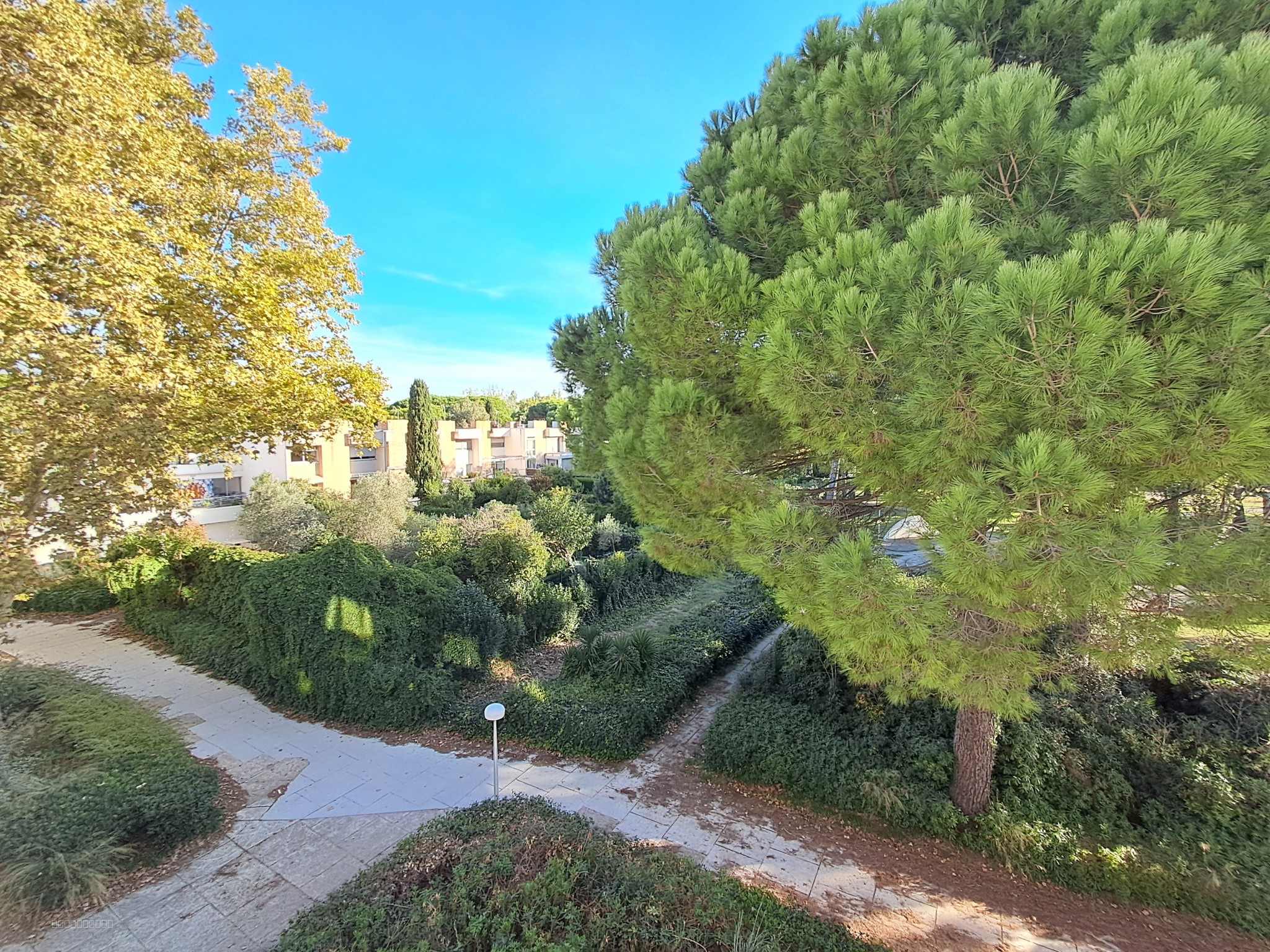 Studio en première ligne vue sur parc arboré. — photo 6