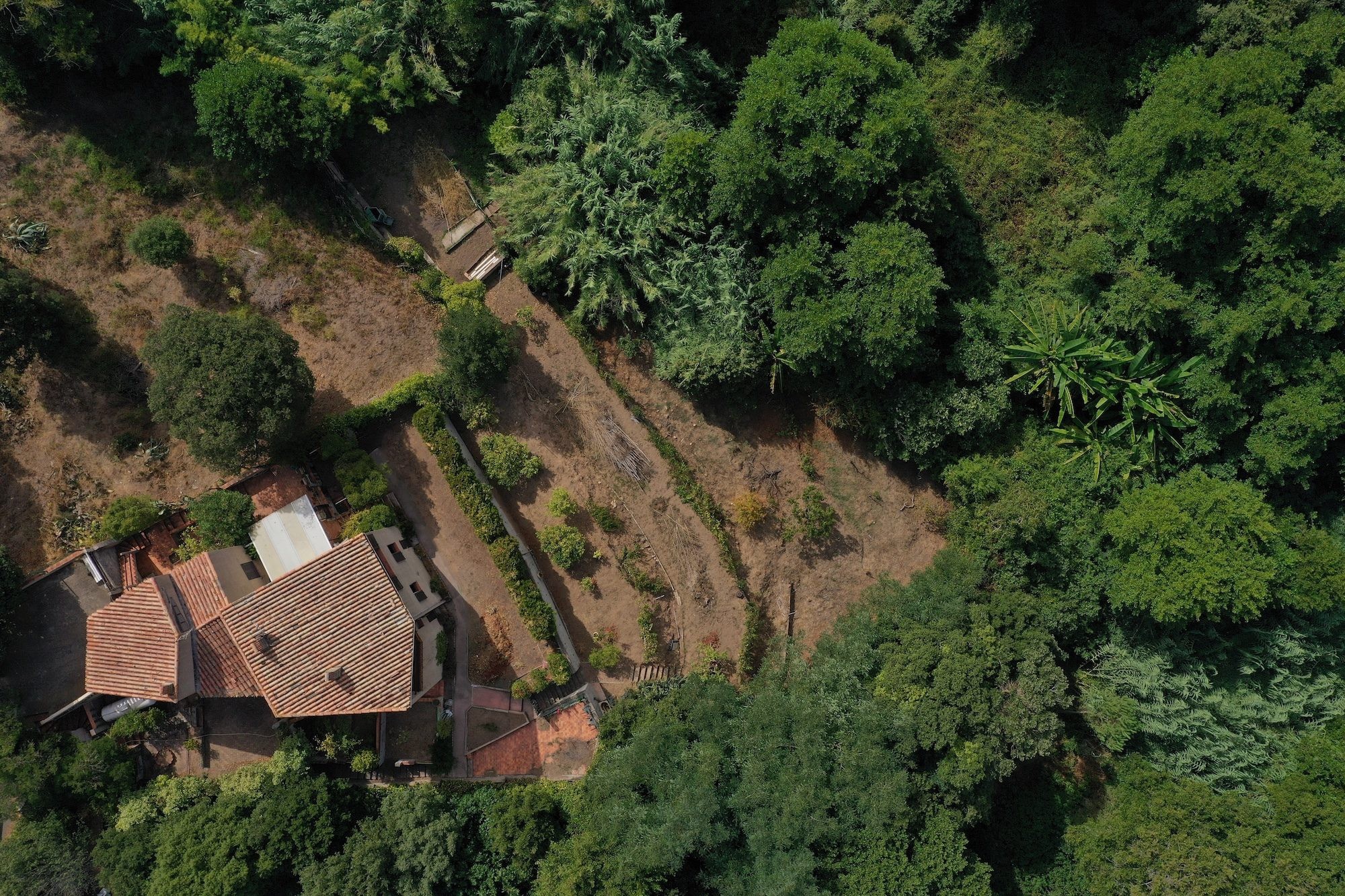 MAISON AVEC GRAND TERRAIN ALATA — photo 11