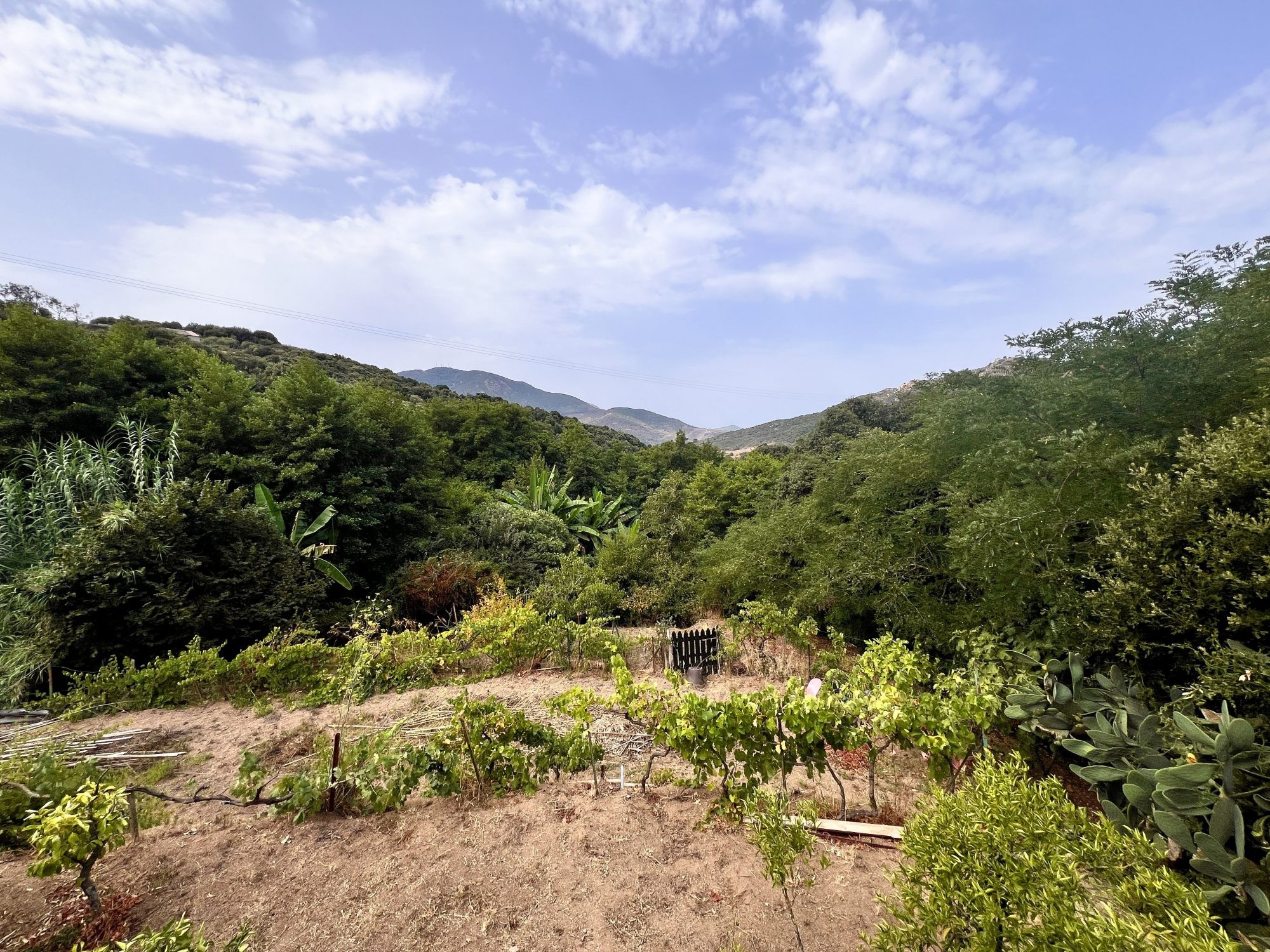 MAISON AVEC GRAND TERRAIN ALATA — photo 10