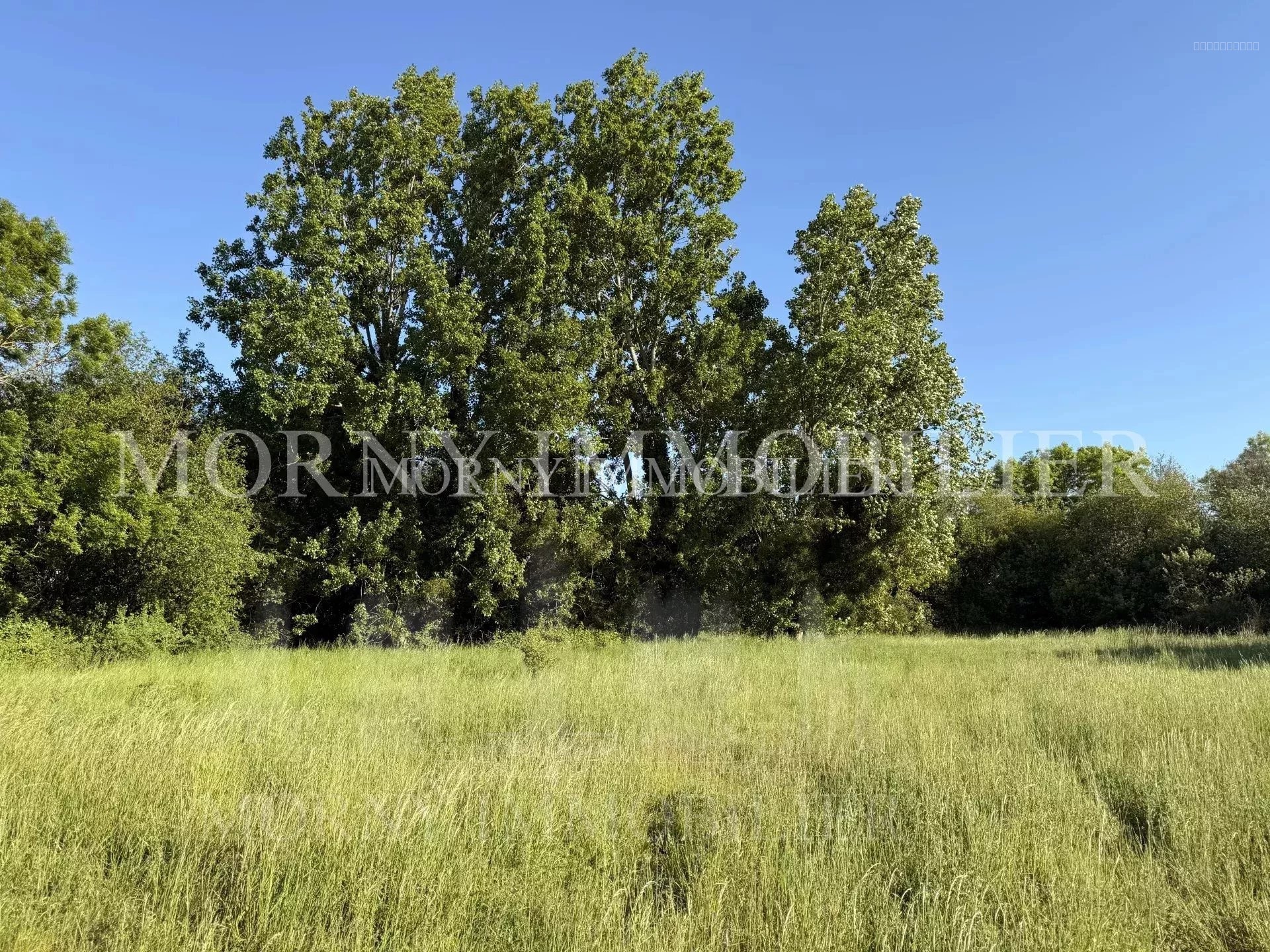 À VENDRE - TERRAIN VIABILISÉ - PETIT DOMAINE SÉCURISÉ