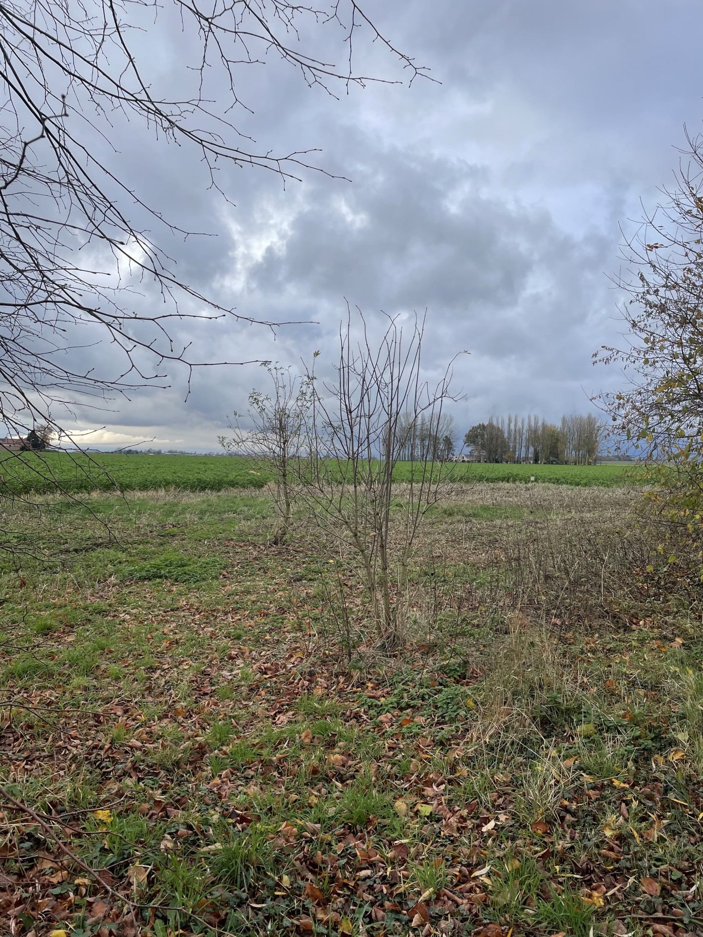 Terrain 2220m2 — photo 2